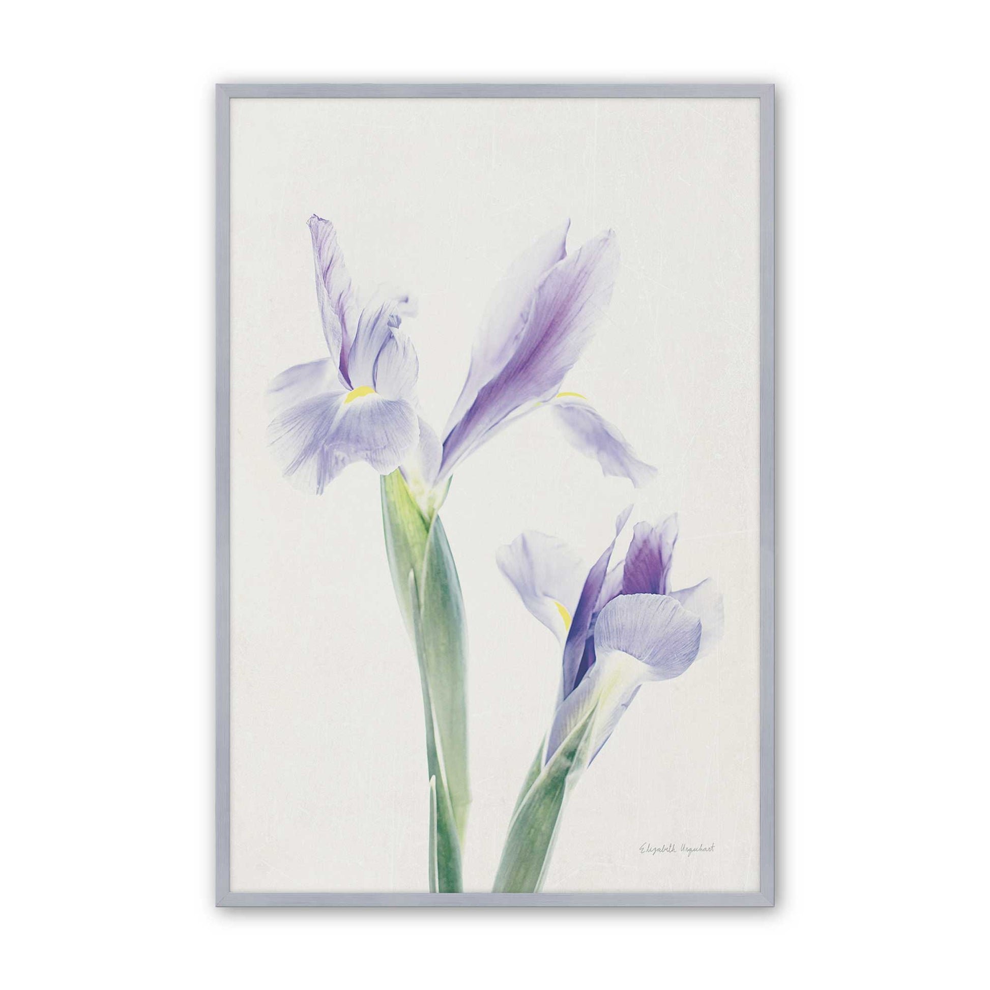 [Color:Polished Chrome], Picture of art in a Polished Chrome frame
