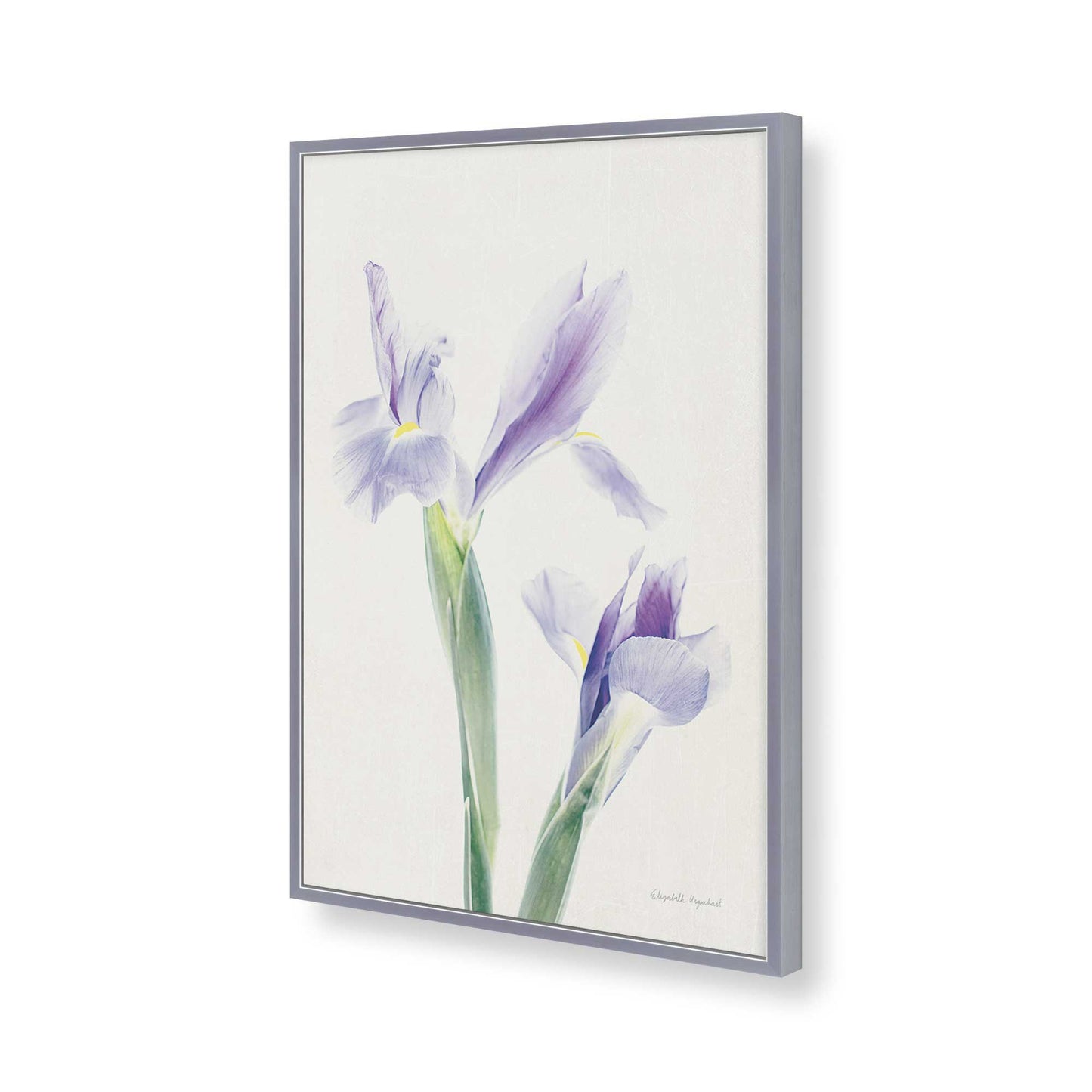 [Color:Polished Chrome], Picture of art in a Polished Chrome frame of the corner