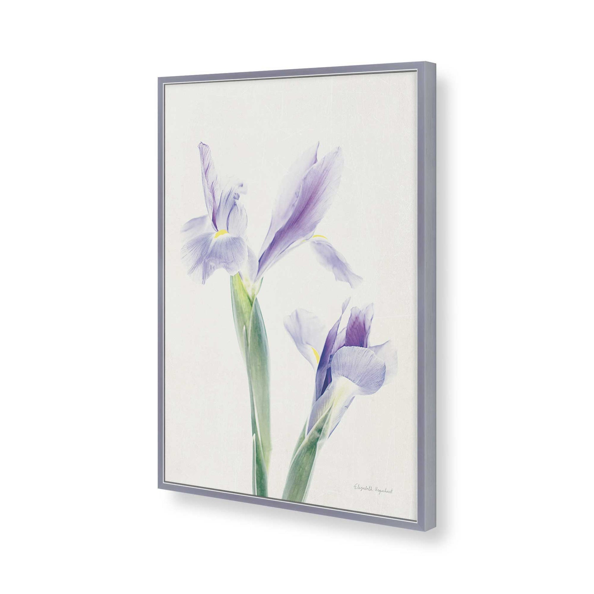 [Color:Polished Chrome], Picture of art in a Polished Chrome frame of the corner