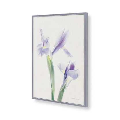 [Color:Polished Chrome], Picture of art in a Polished Chrome frame of the corner