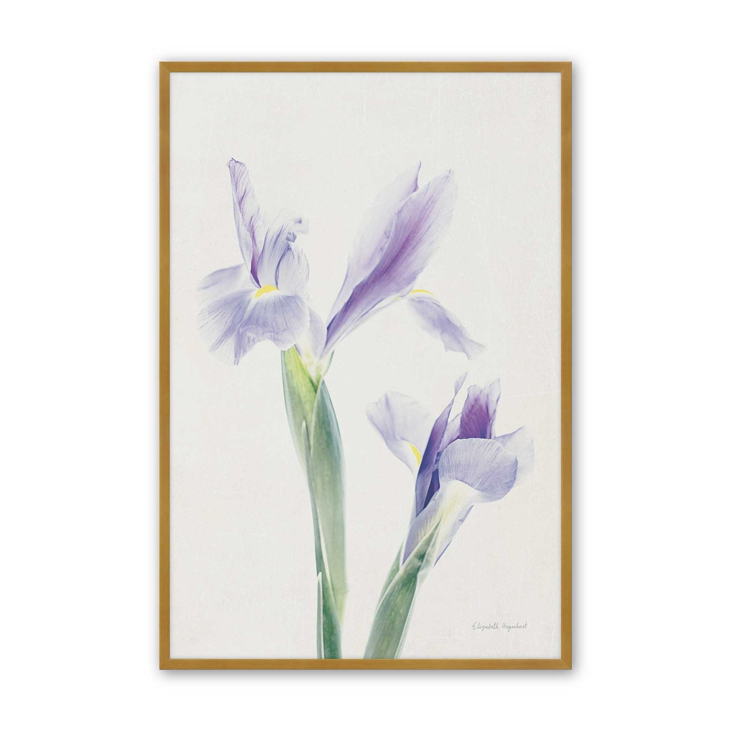 [Color:Polished Gold], Picture of art in a Polished Gold frame