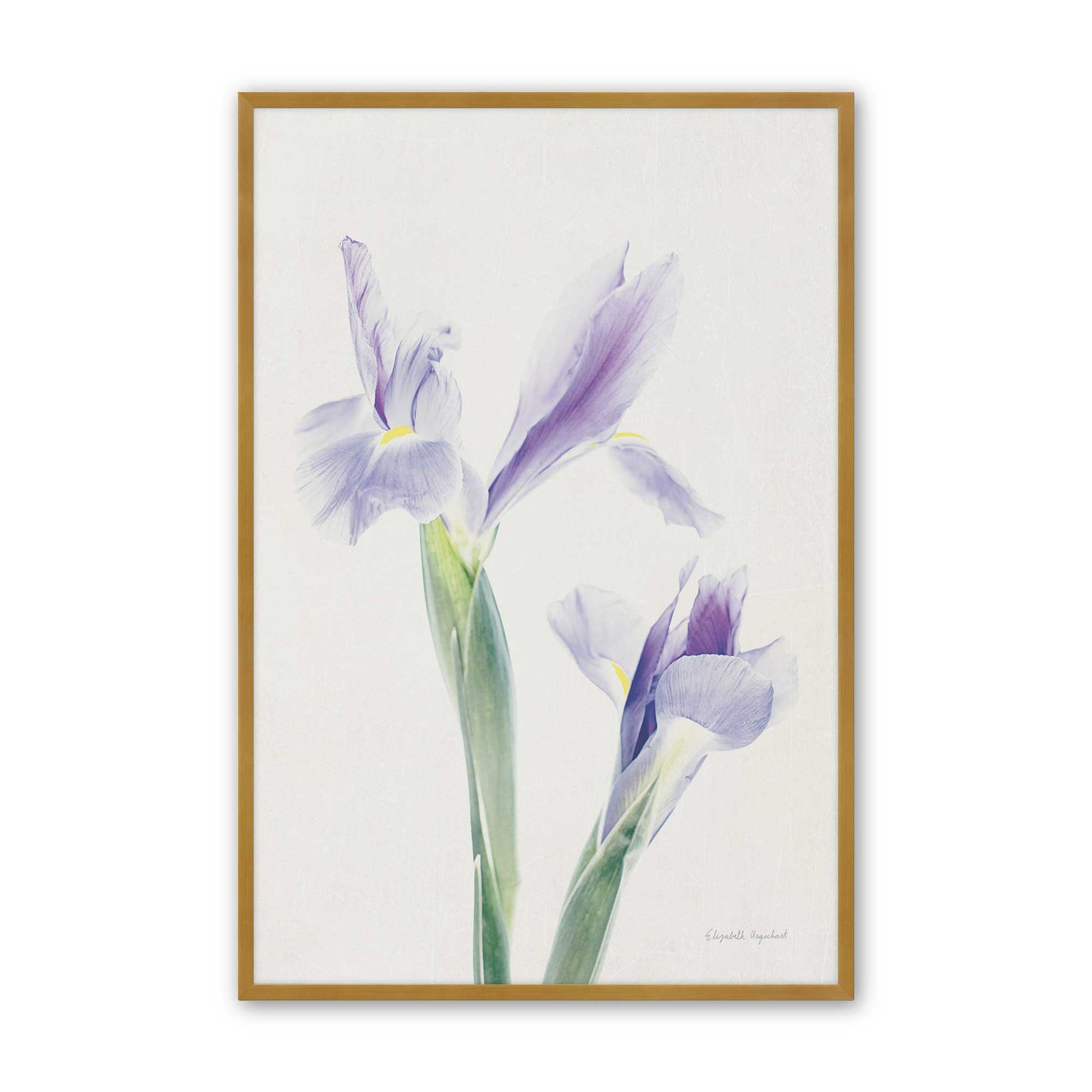 [Color:Polished Gold], Picture of art in a Polished Gold frame