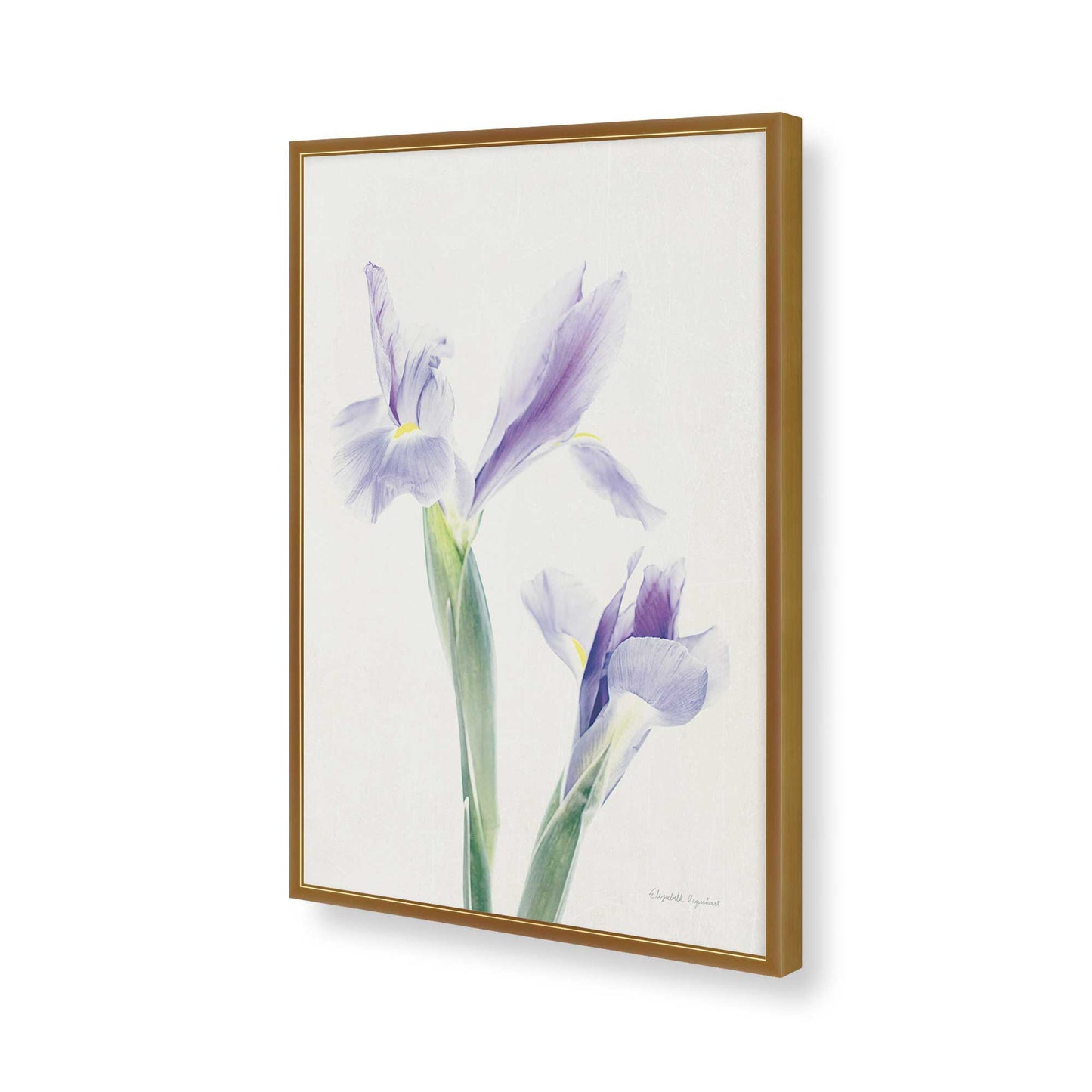 [Color:Polished Gold], Picture of art in a Polished Gold frame of the corner