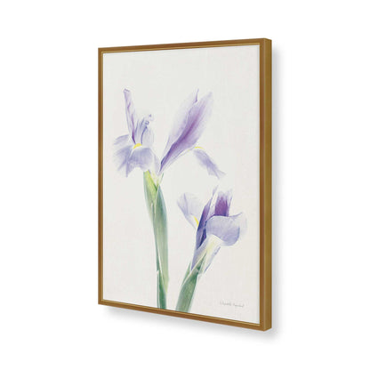 [Color:Polished Gold], Picture of art in a Polished Gold frame of the corner