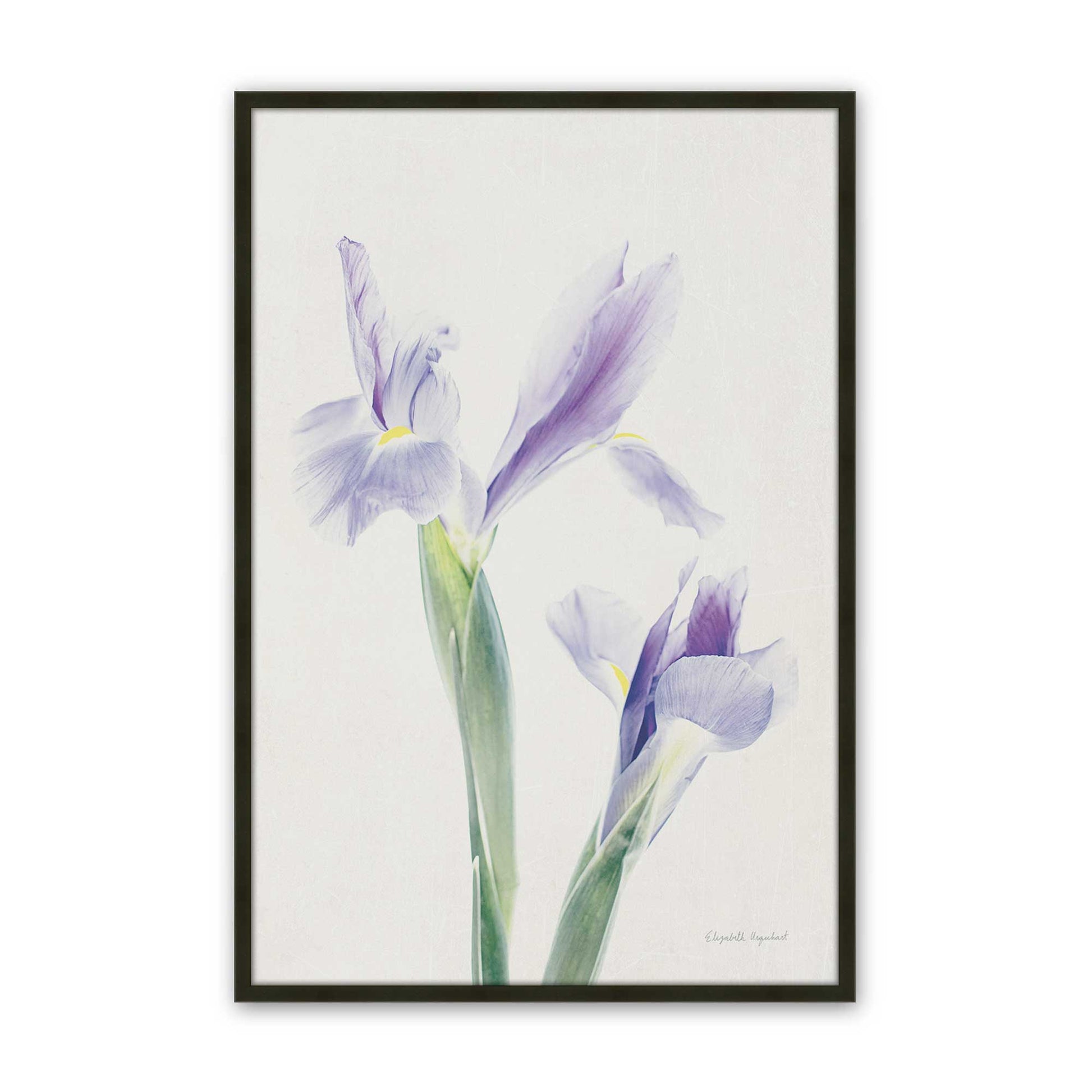 [Color:Satin Black], Picture of art in a Satin Black frame