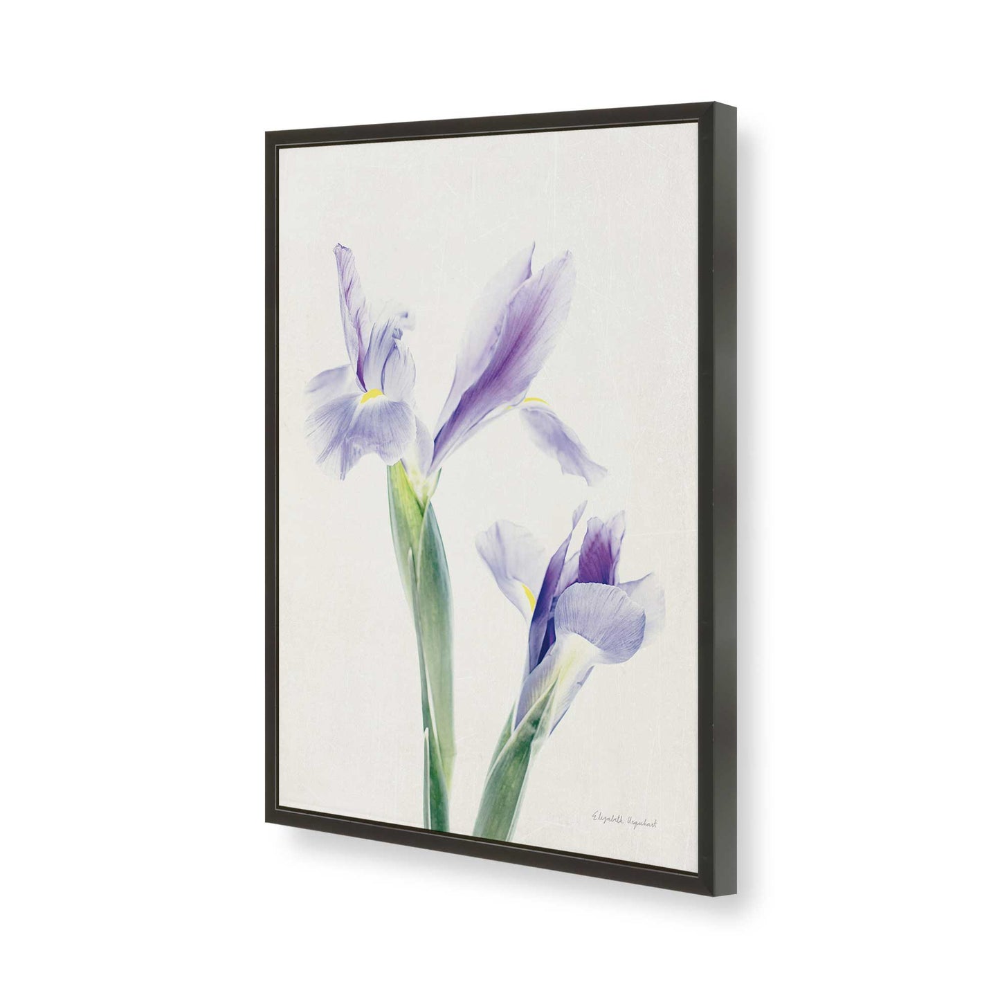[Color:Satin Black], Picture of art in a Satin Black frame of the corner