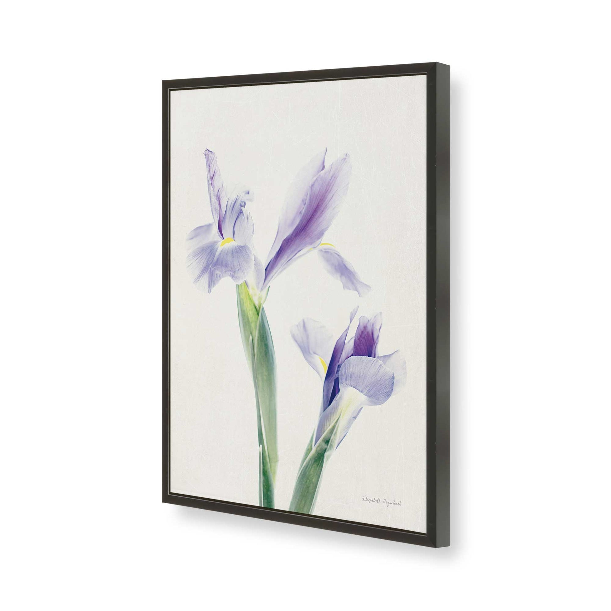 [Color:Satin Black], Picture of art in a Satin Black frame of the corner