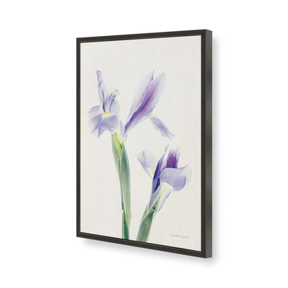 [Color:Satin Black], Picture of art in a Satin Black frame of the corner