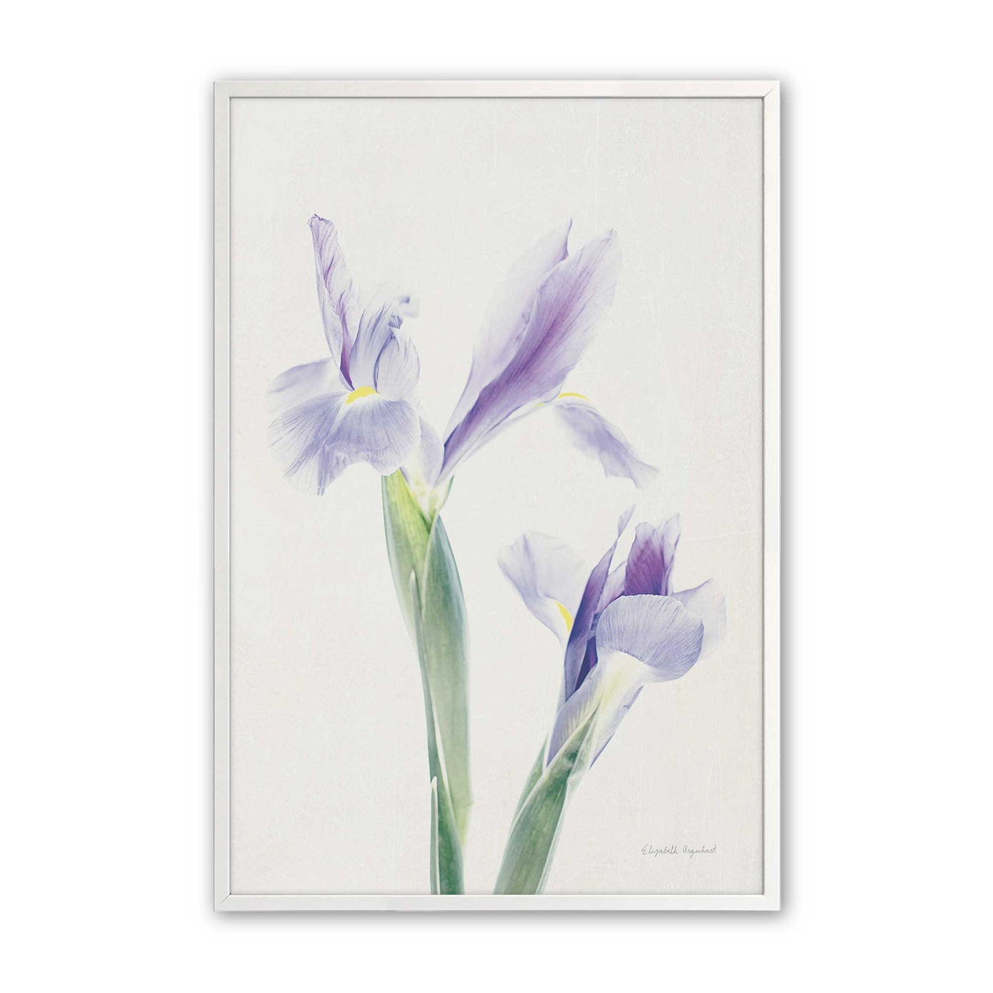 [Color:Opaque White], Picture of art in a Opaque White frame