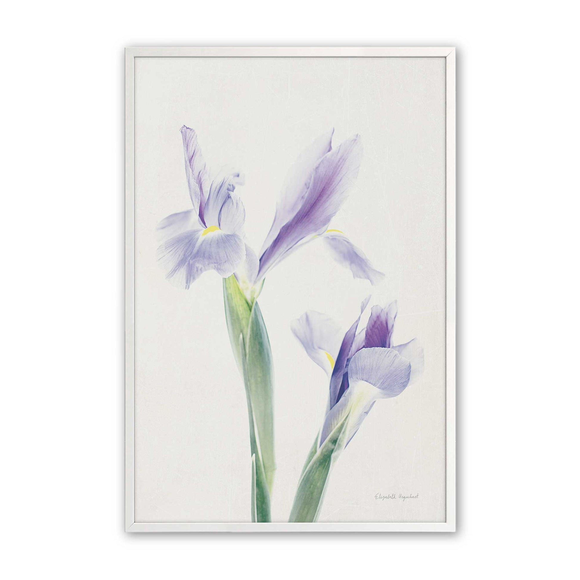 [Color:Opaque White], Picture of art in a Opaque White frame