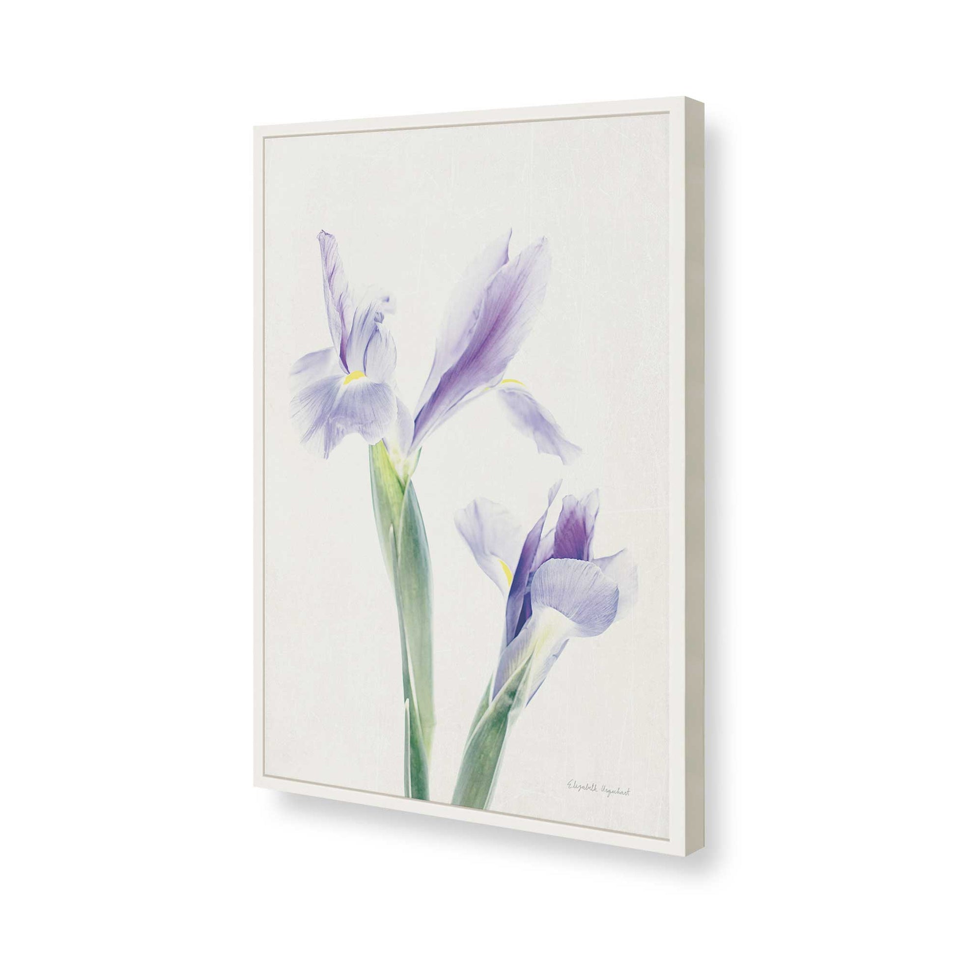 [Color:Opaque White], Picture of art in a Opaque White frame of the corner