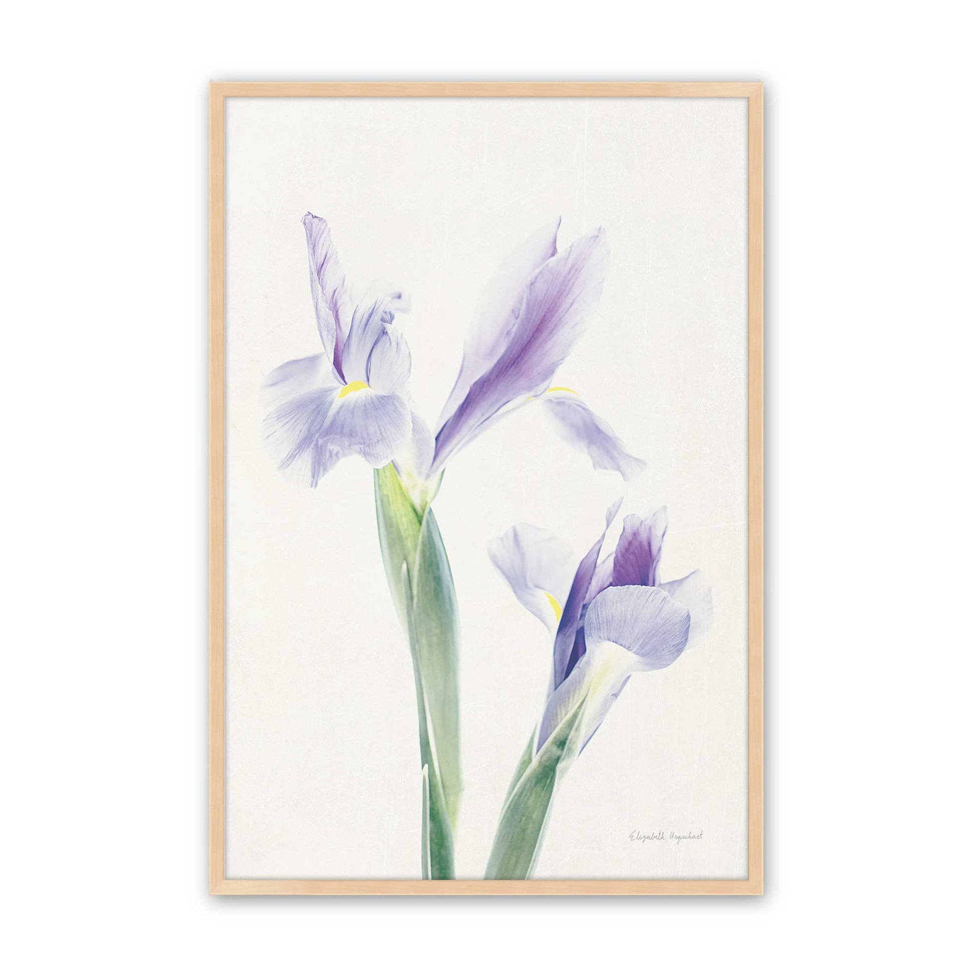 [Color:Raw Maple], Picture of art in a Raw Maple frame