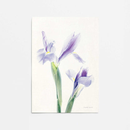 [Color:Rolled Print], Picture of close up of art