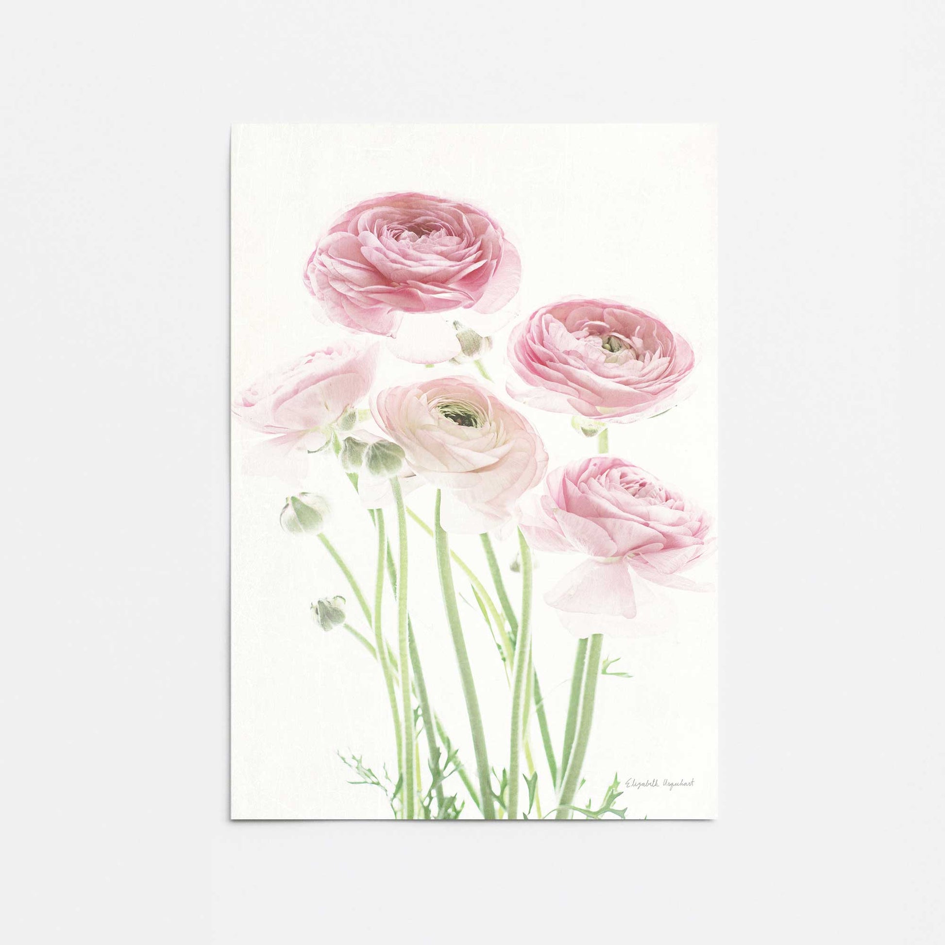 [Color:Rolled Print], Picture of close up of art