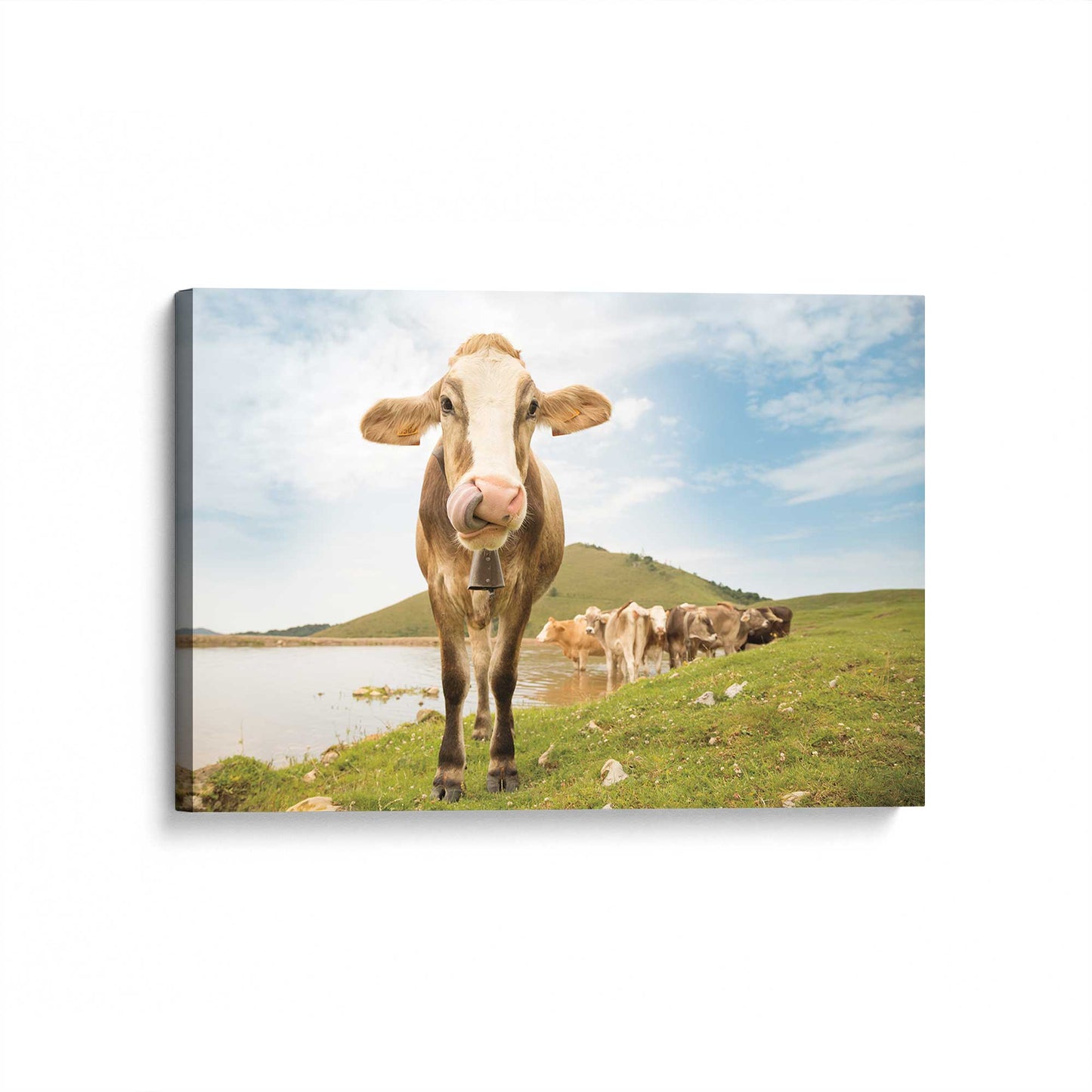 [Color:Stretched Canvas], Picture of art at an angle