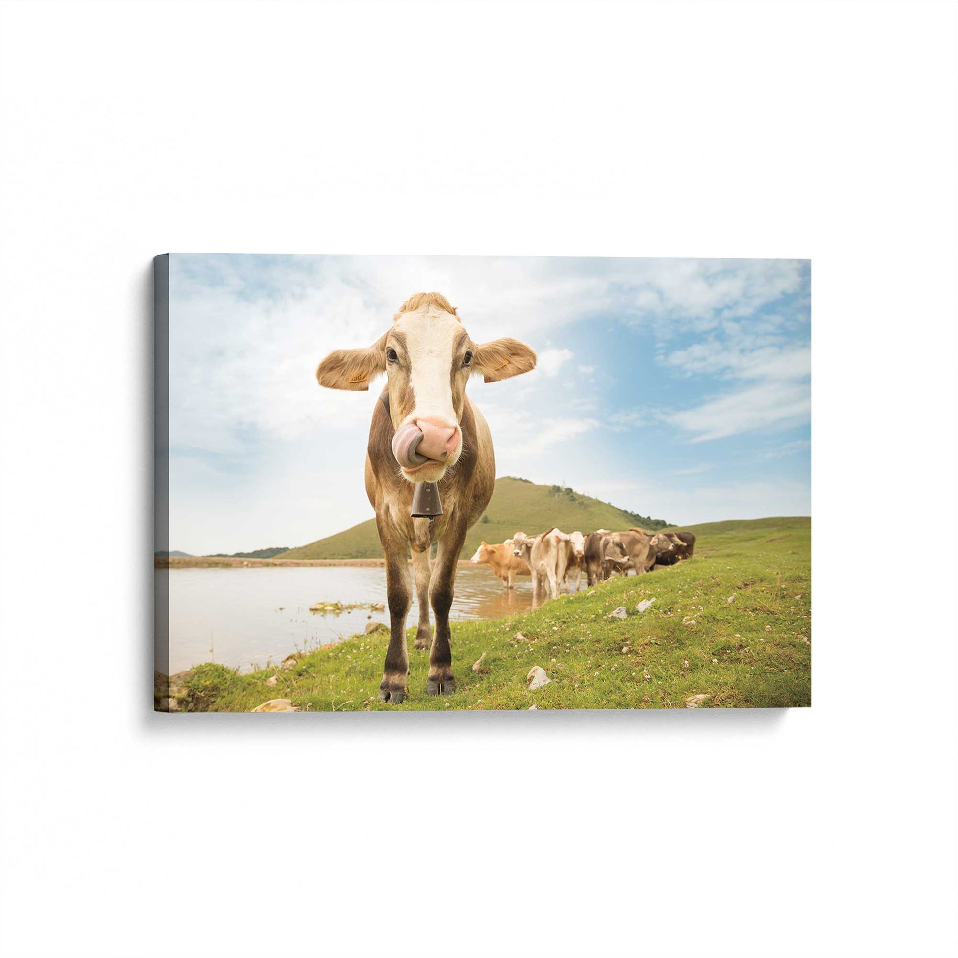[Color:Stretched Canvas], Picture of art at an angle