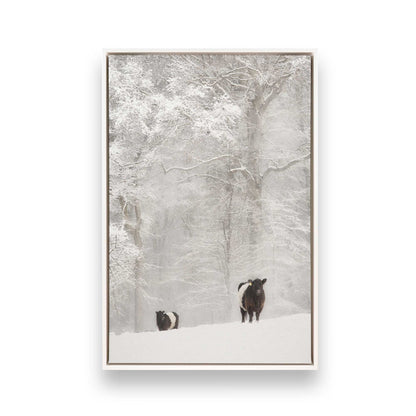 [Color:Opaque White], Picture of art in a White frame
