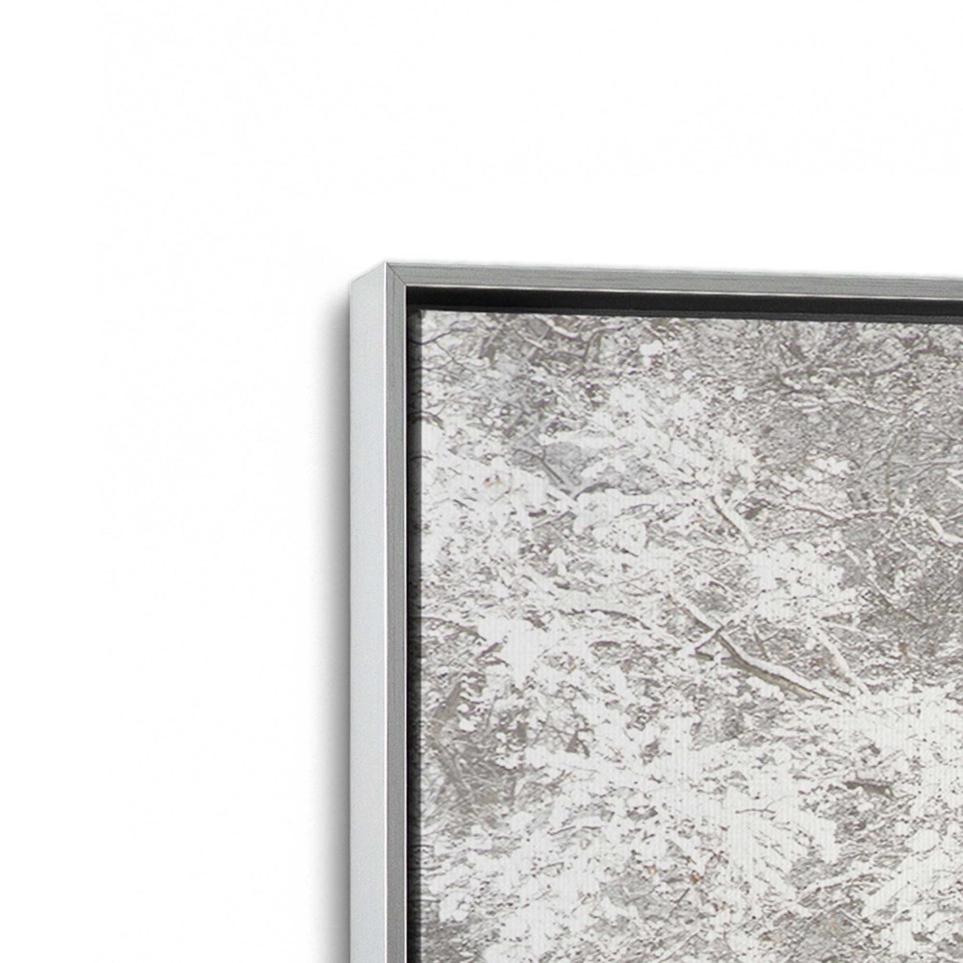 [Color:Polished Chrome], Picture of art in a Polished Chrome frame at an angle