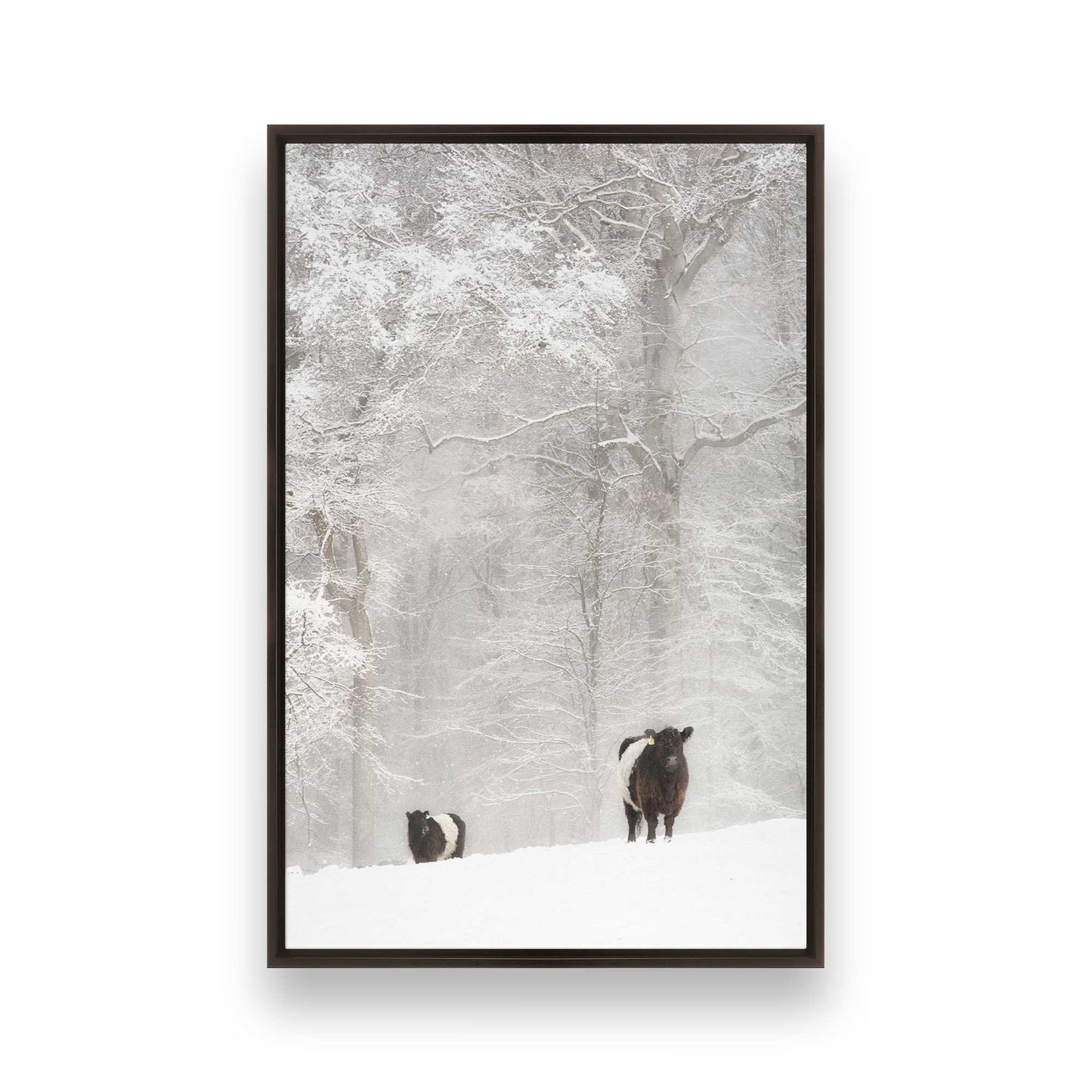 [Color:Espresso], Picture of art in a Espresso frame