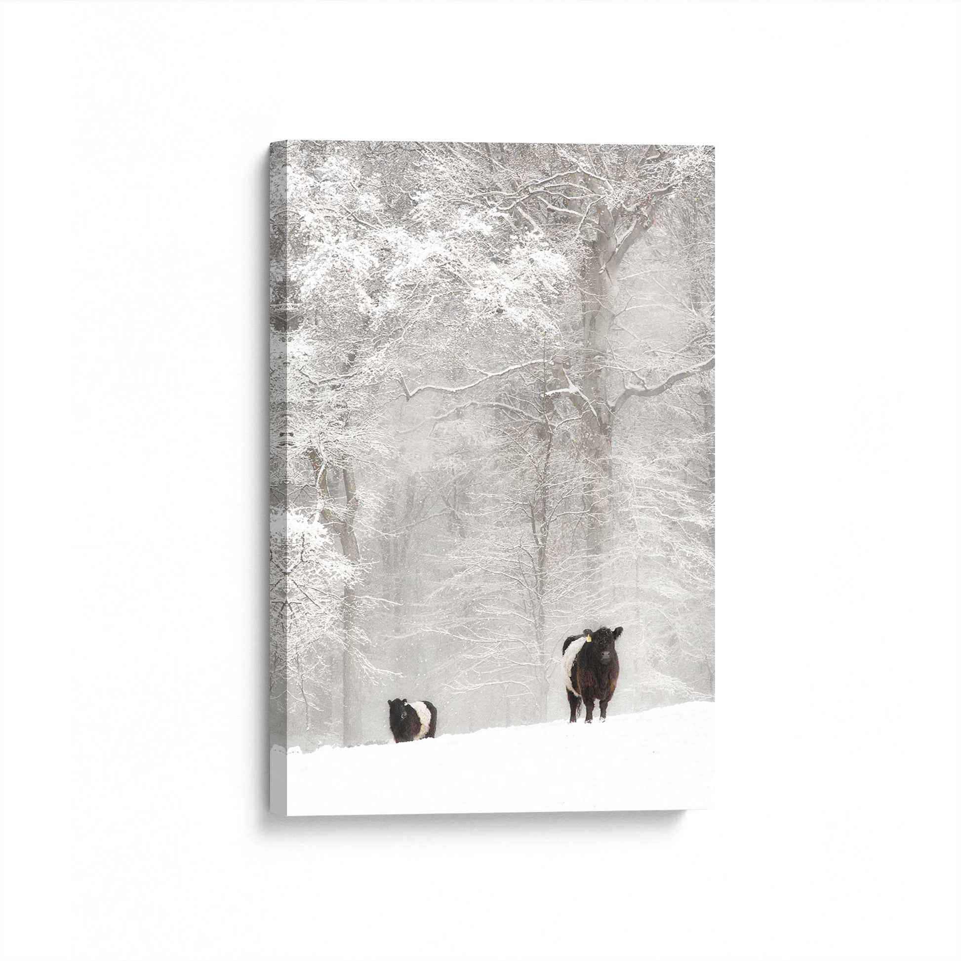 [Color:Stretched Canvas], Picture of art at an angle