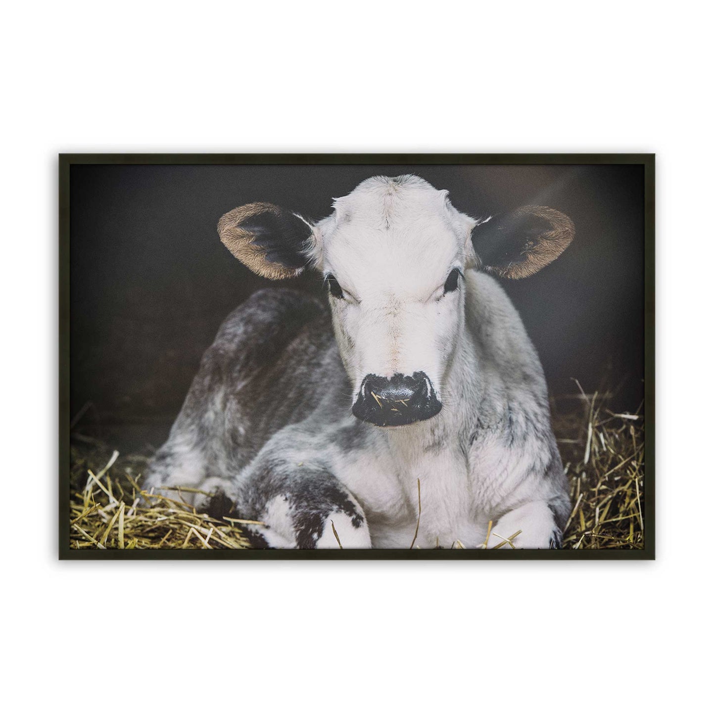 [Color:Satin Black], Picture of art in a Satin Black frame