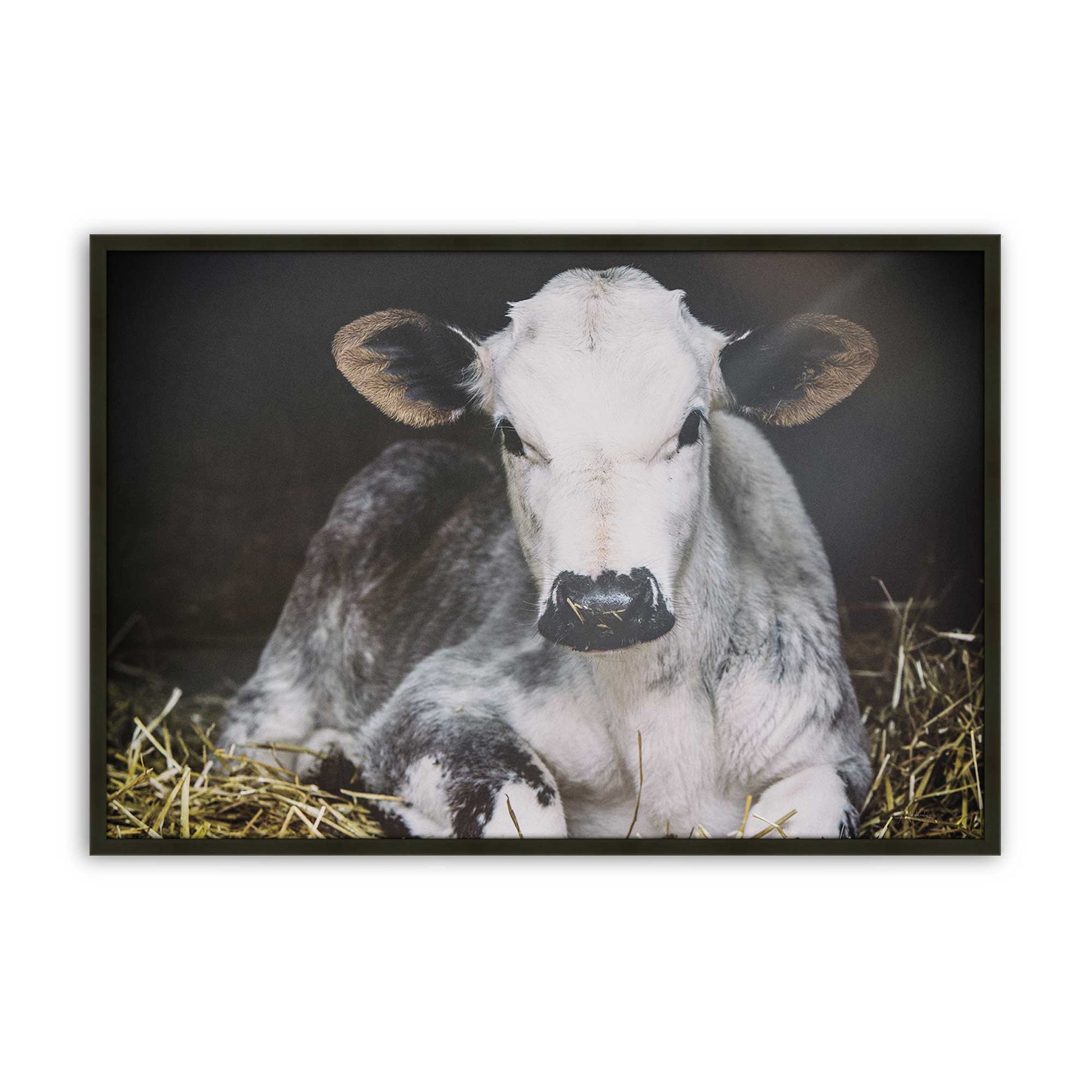 [Color:Satin Black], Picture of art in a Satin Black frame