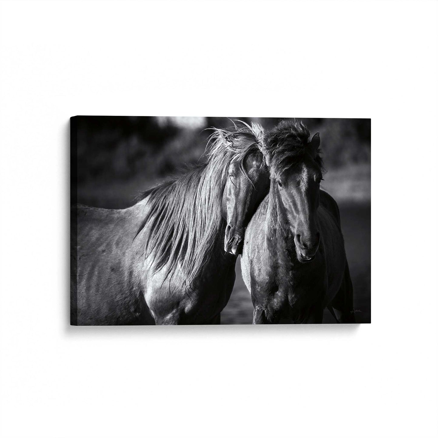 [Color:Stretched Canvas], Picture of art at an angle