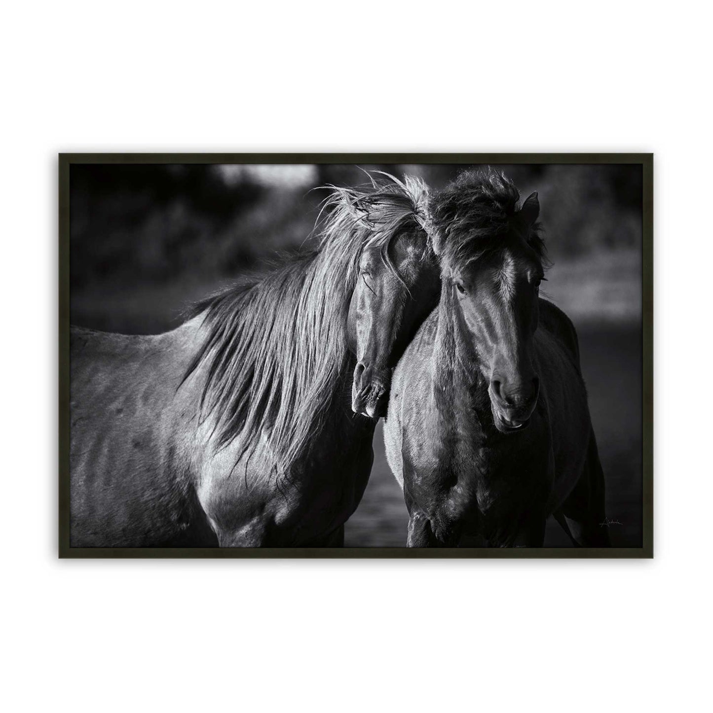 [Color:Satin Black], Picture of art in a Satin Black frame