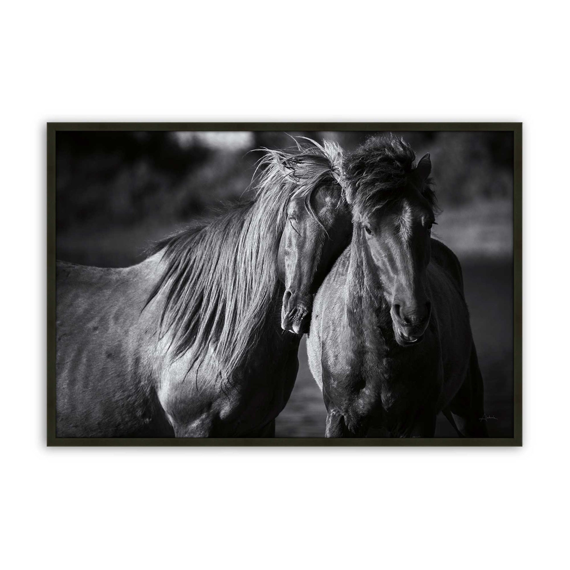 [Color:Satin Black], Picture of art in a Satin Black frame