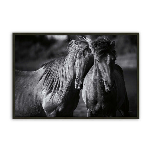 [Color:Satin Black], Front of the art