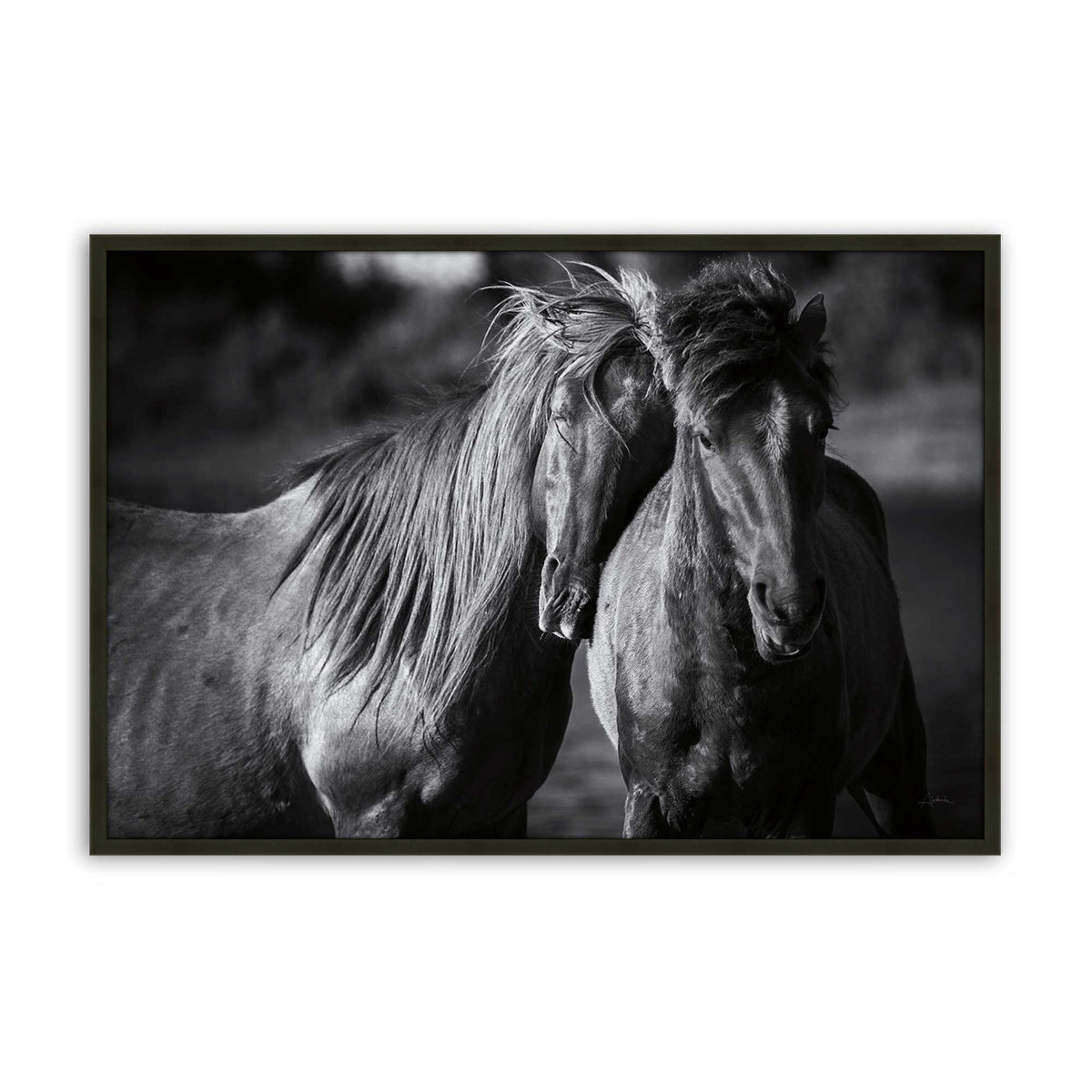 [Color:Satin Black], Picture of art in a Satin Black frame