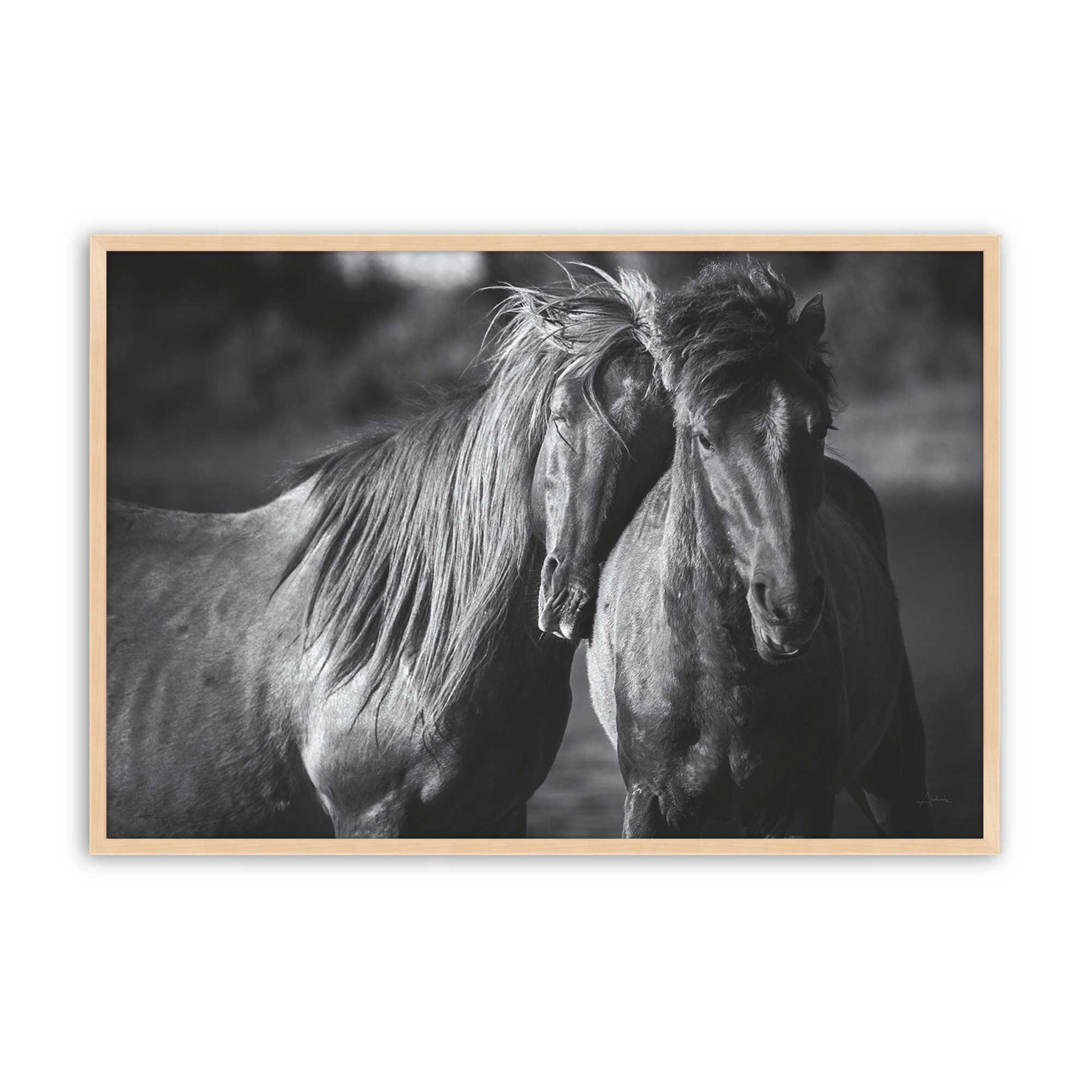 [Color:Raw Maple], Picture of art in a Raw Maple frame