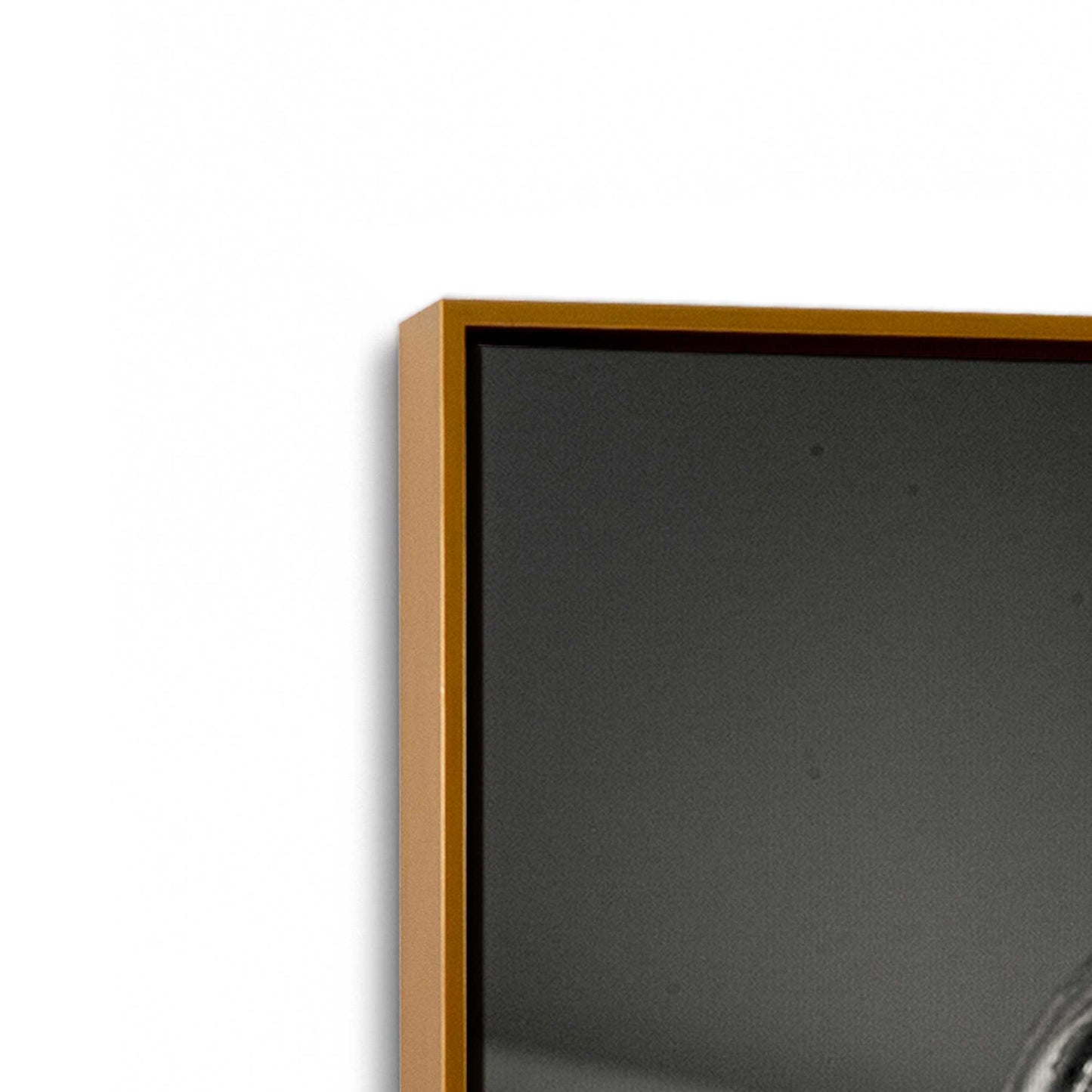 [Color:Polished Gold], Picture of art in a Polished Gold frame at an angle
