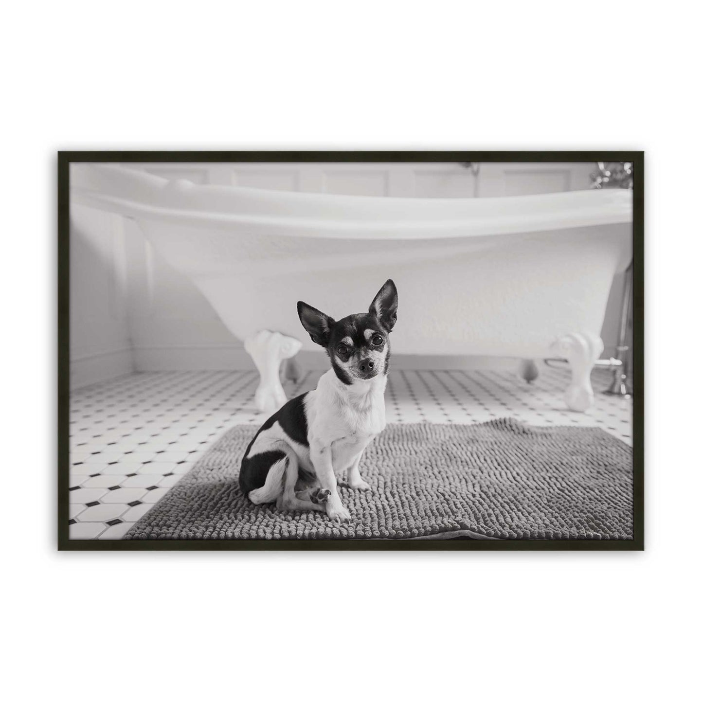 [Color:Satin Black], Front of the art