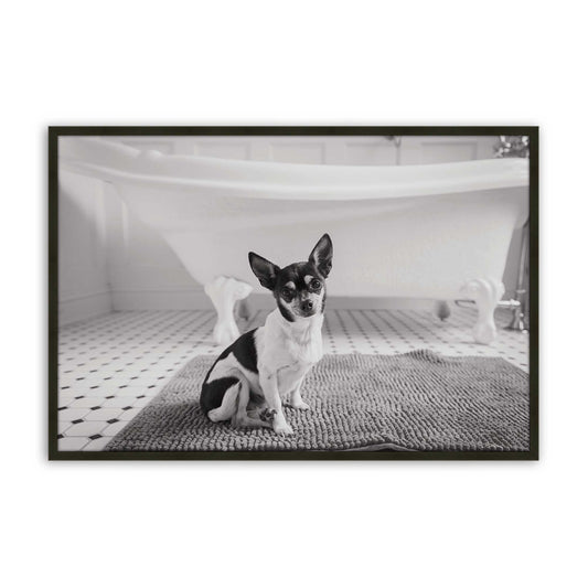 [Color:Satin Black], Front of the art