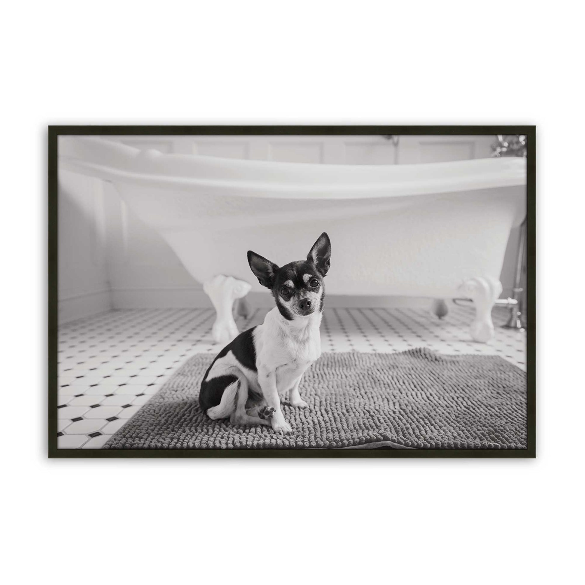 [Color:Satin Black], Front of the art