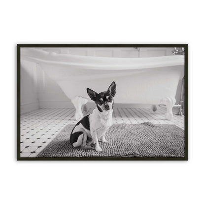 [Color:Satin Black], Front of the art