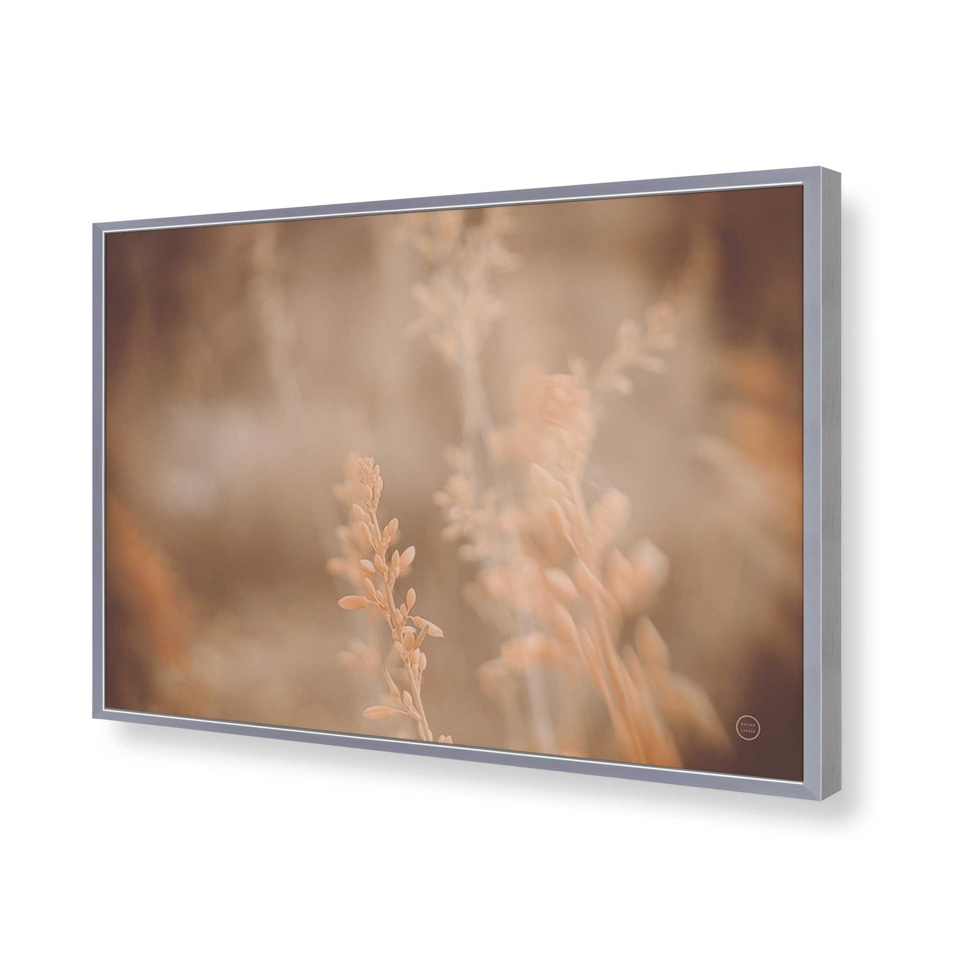 [Color:Polished Chrome], Picture of art in a Polished Chrome frame of the corner