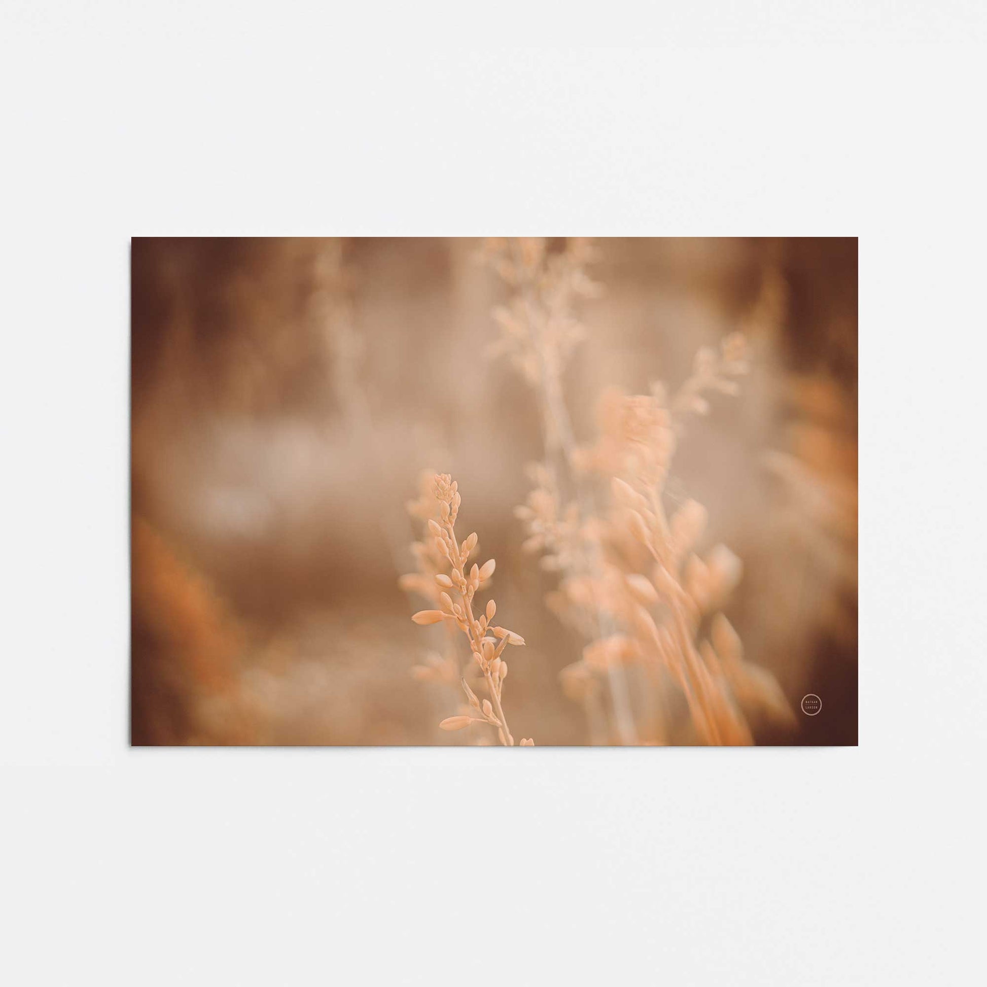 [Color:Rolled Print], Picture of close up of art