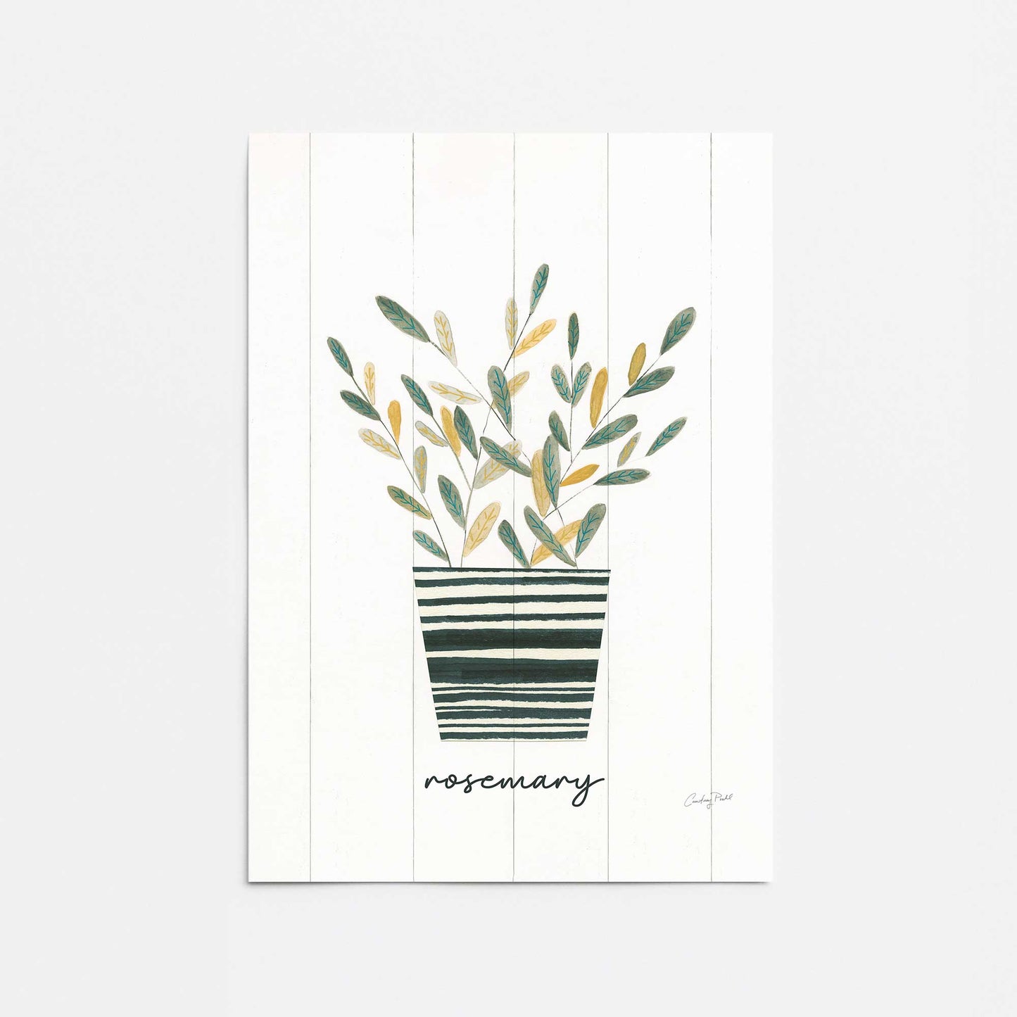 [Color:Rolled Print], Picture of close up of art
