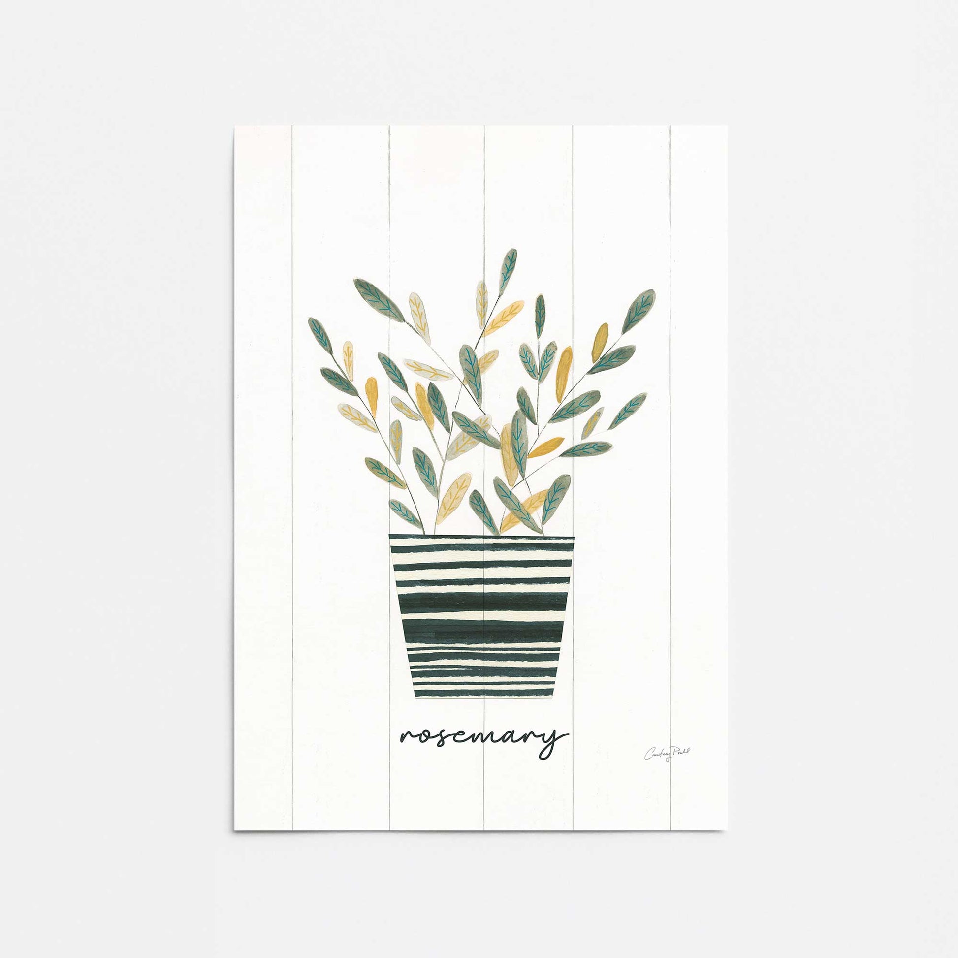 [Color:Rolled Print], Picture of close up of art