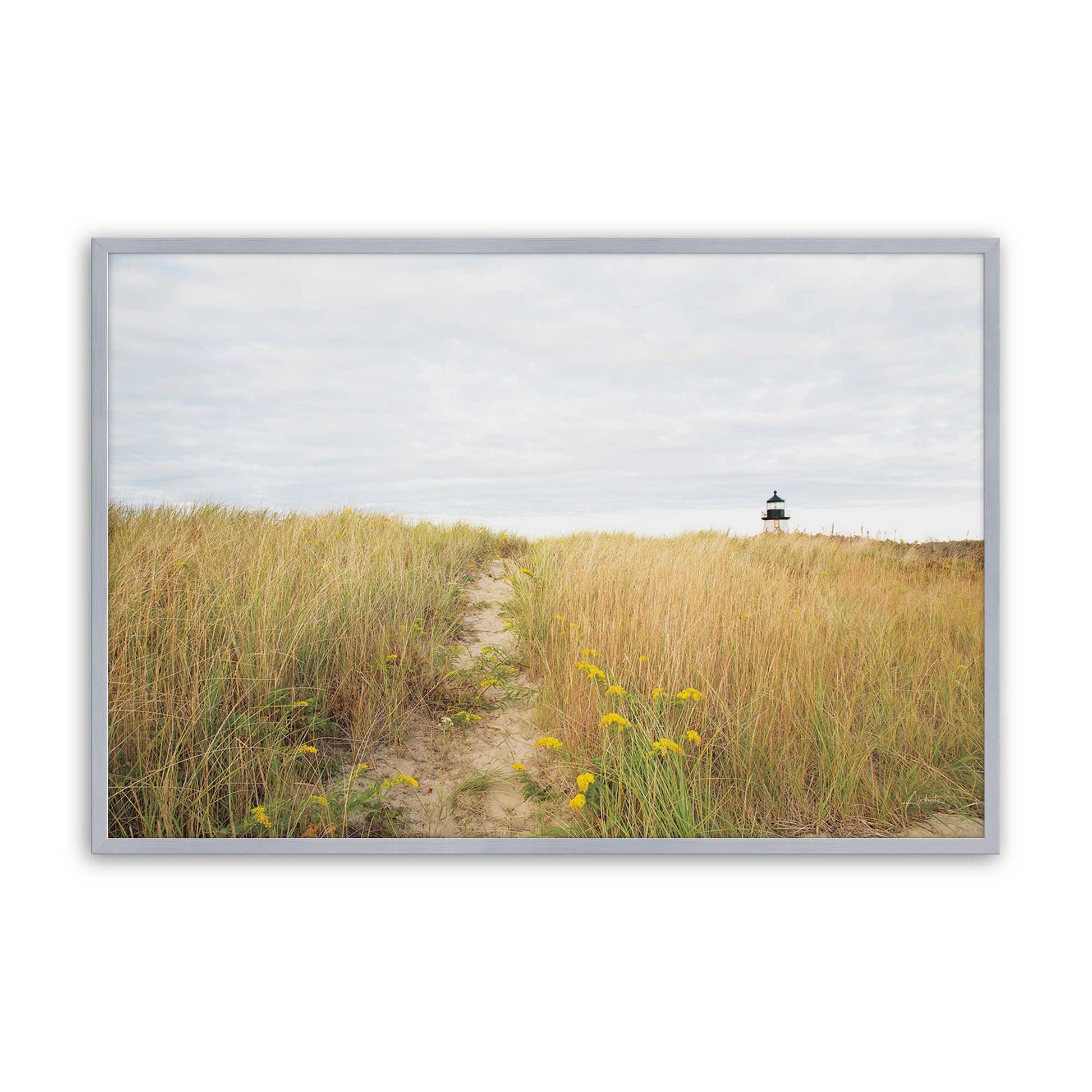 [Color:Polished Chrome], Picture of art in a Polished Chrome frame