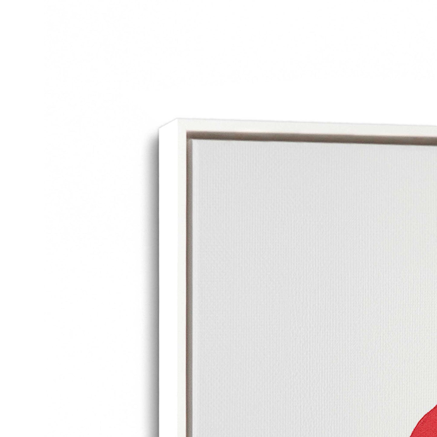 [Color:Opaque White], Picture of art in a White frame at an angle