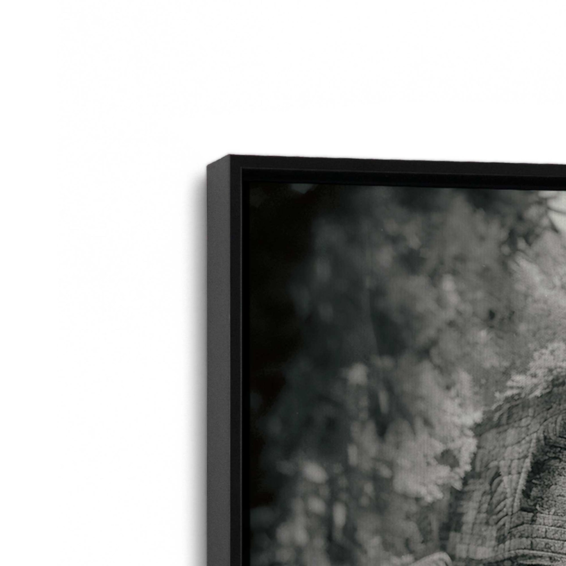 [Color:Satin Black], Picture of art in a Satin Black frame at an angle