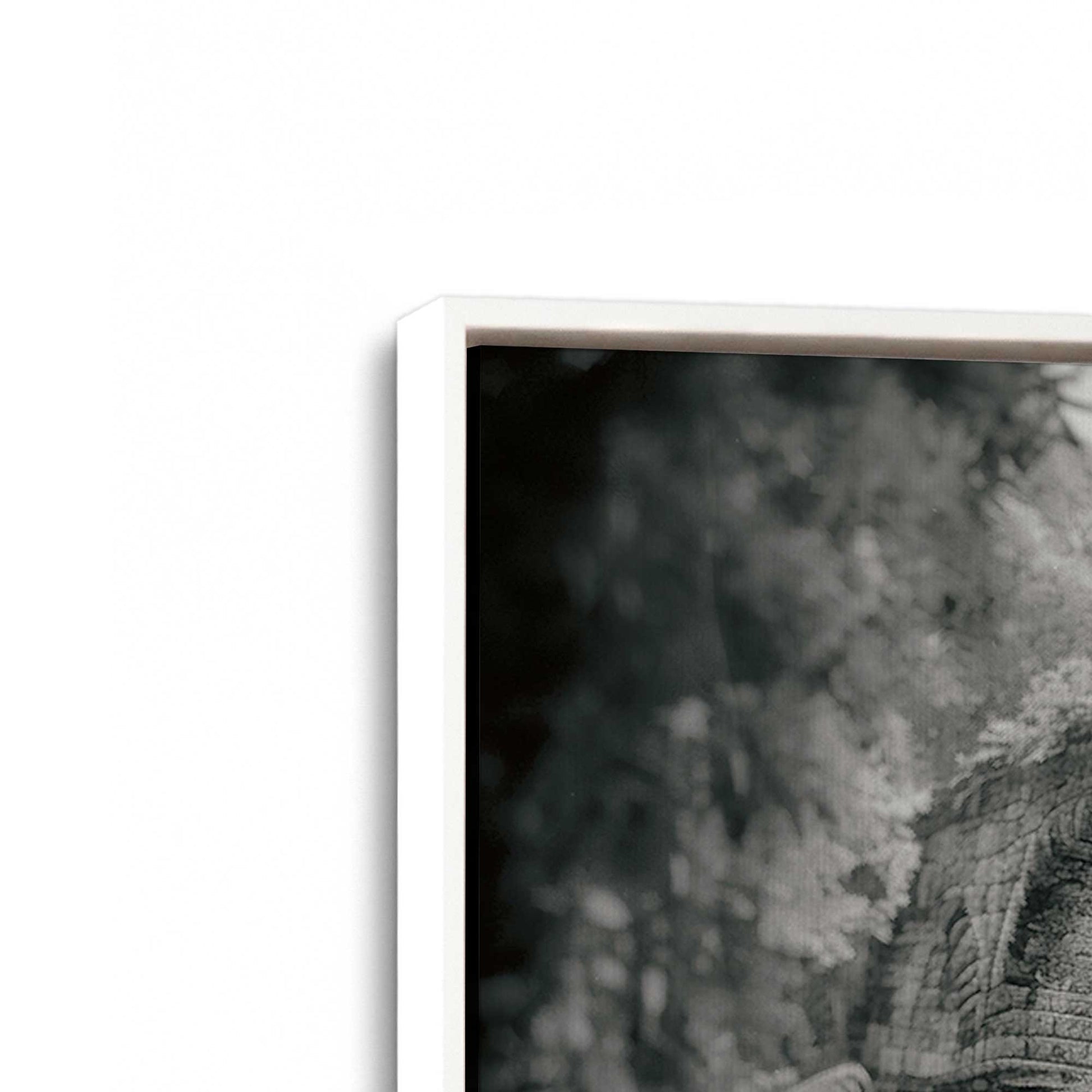 [Color:Opaque White], Picture of art in a White frame at an angle