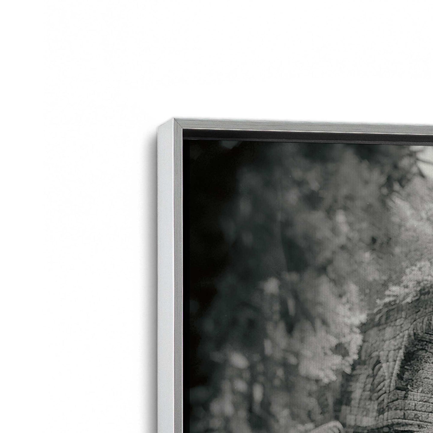 [Color:Polished Chrome], Picture of art in a Polished Chrome frame at an angle