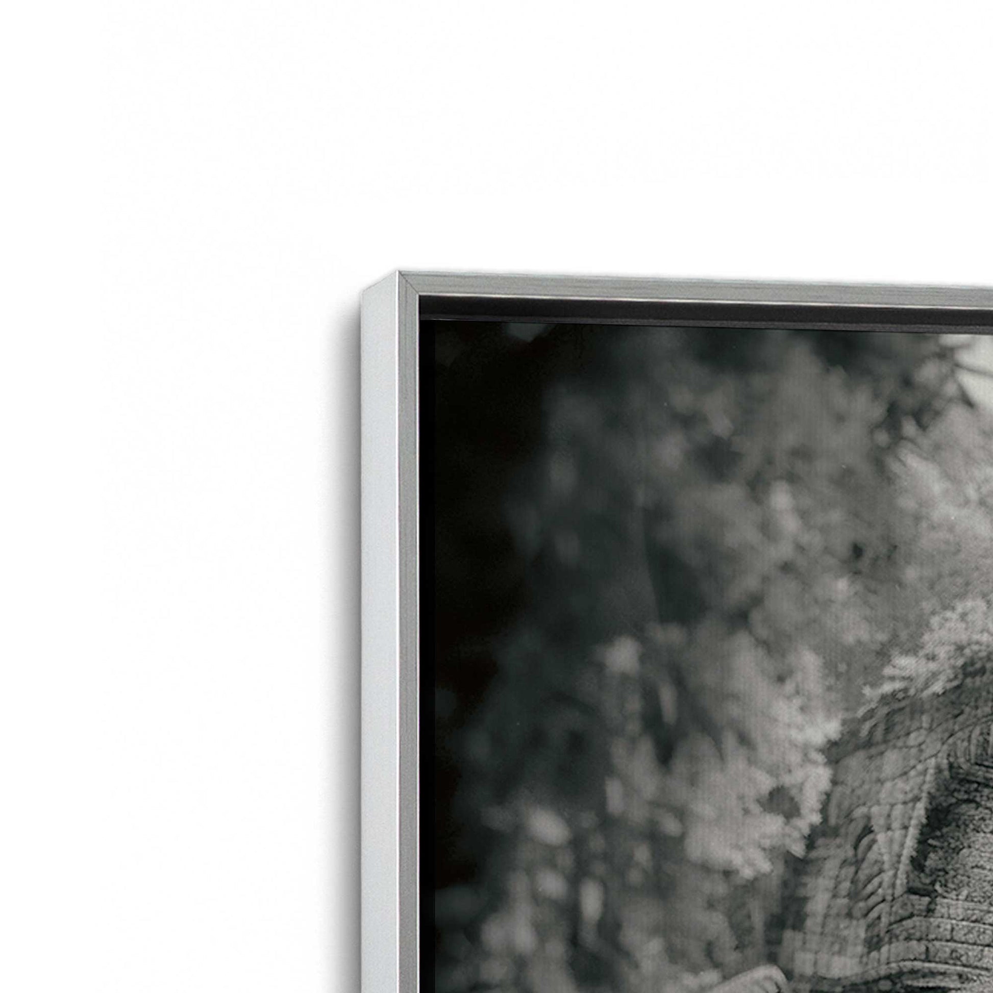 [Color:Polished Chrome], Picture of art in a Polished Chrome frame at an angle