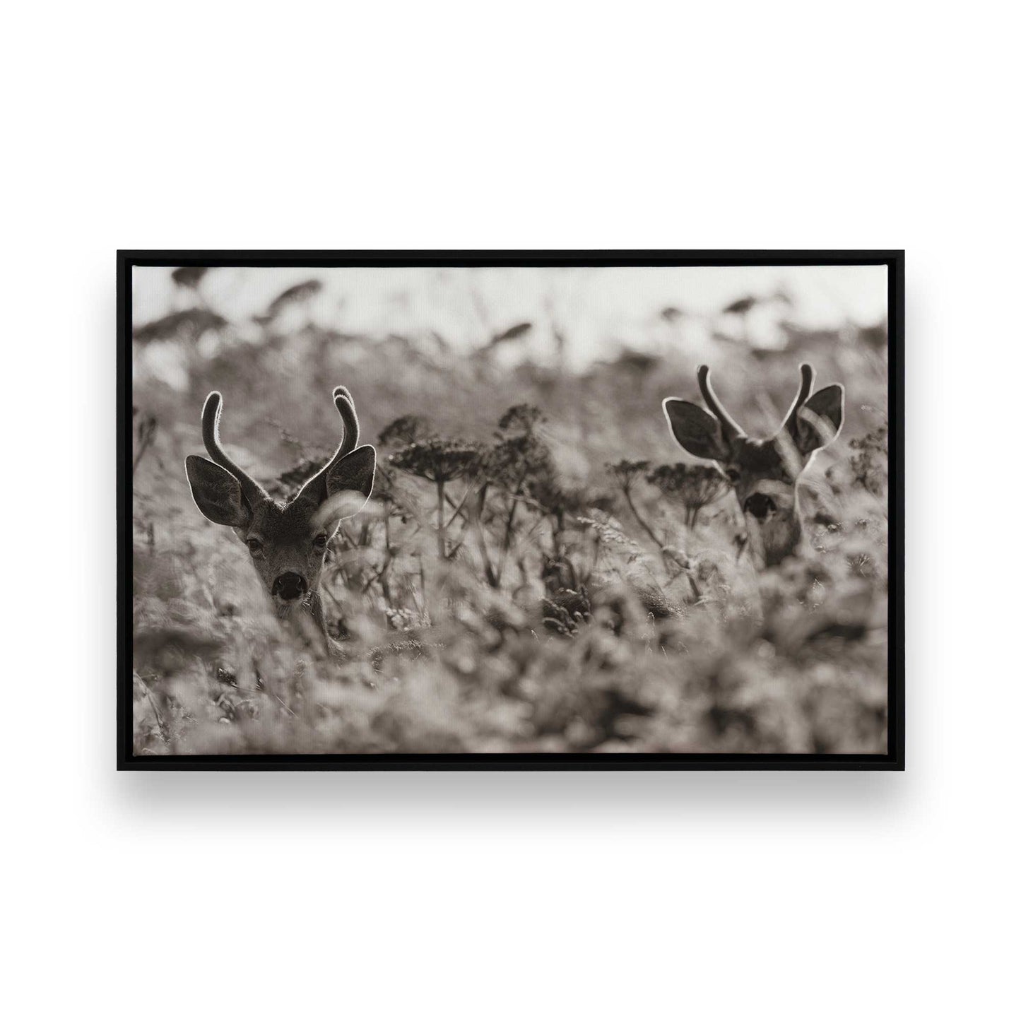 [Color:Satin Black], Picture of art in a Satin Black frame