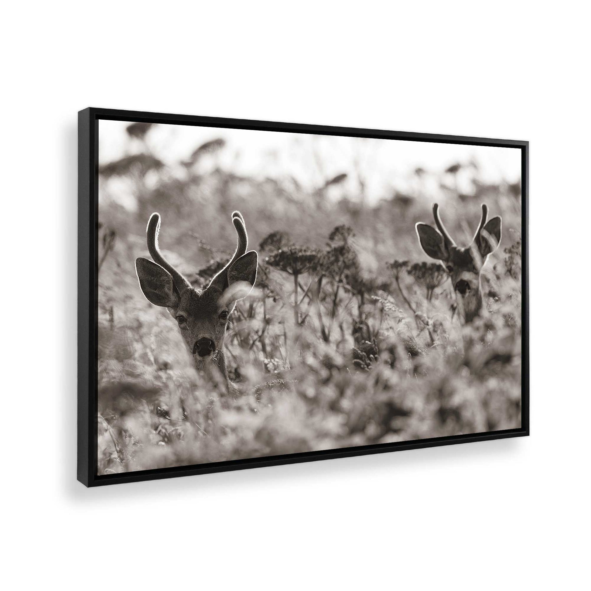 [Color:Satin Black], Picture of the corner of the art