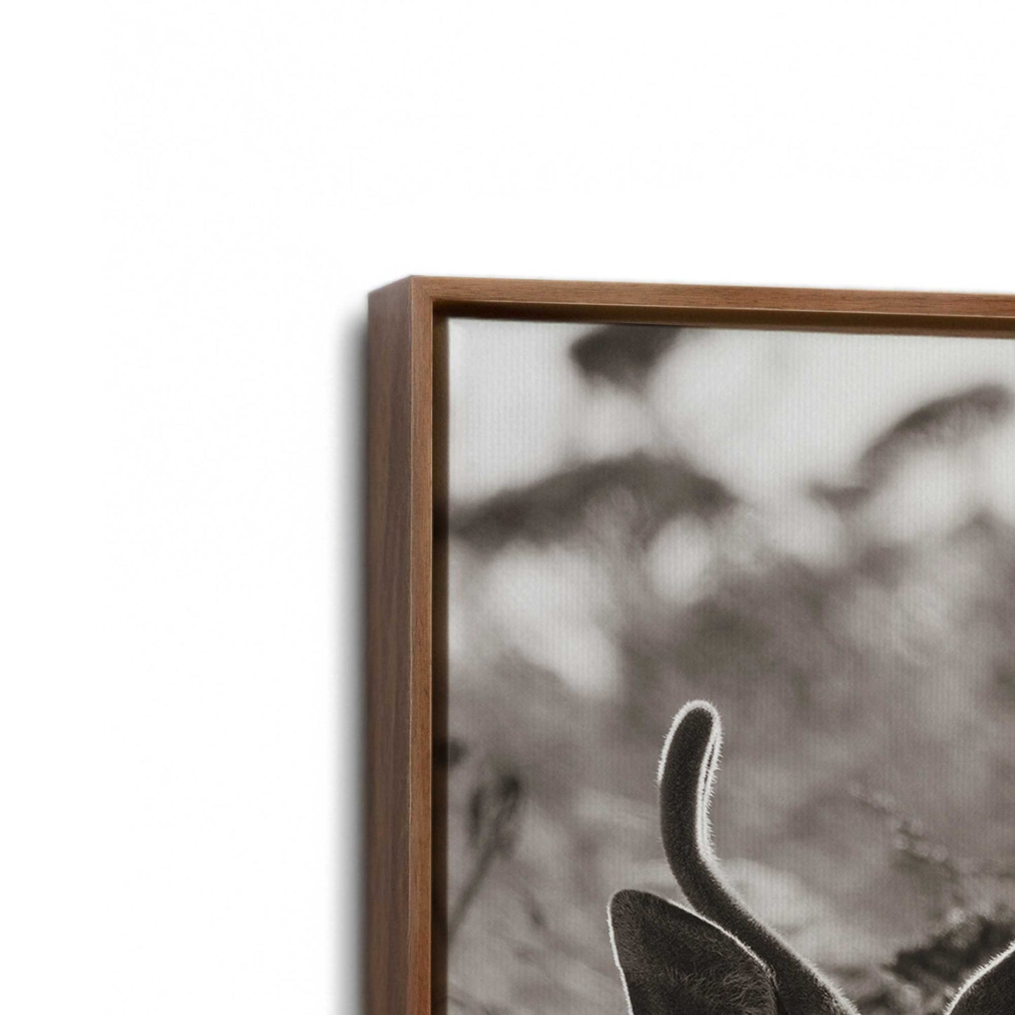 [Color:Walnut], Picture of art in a Walnut frame at an angle